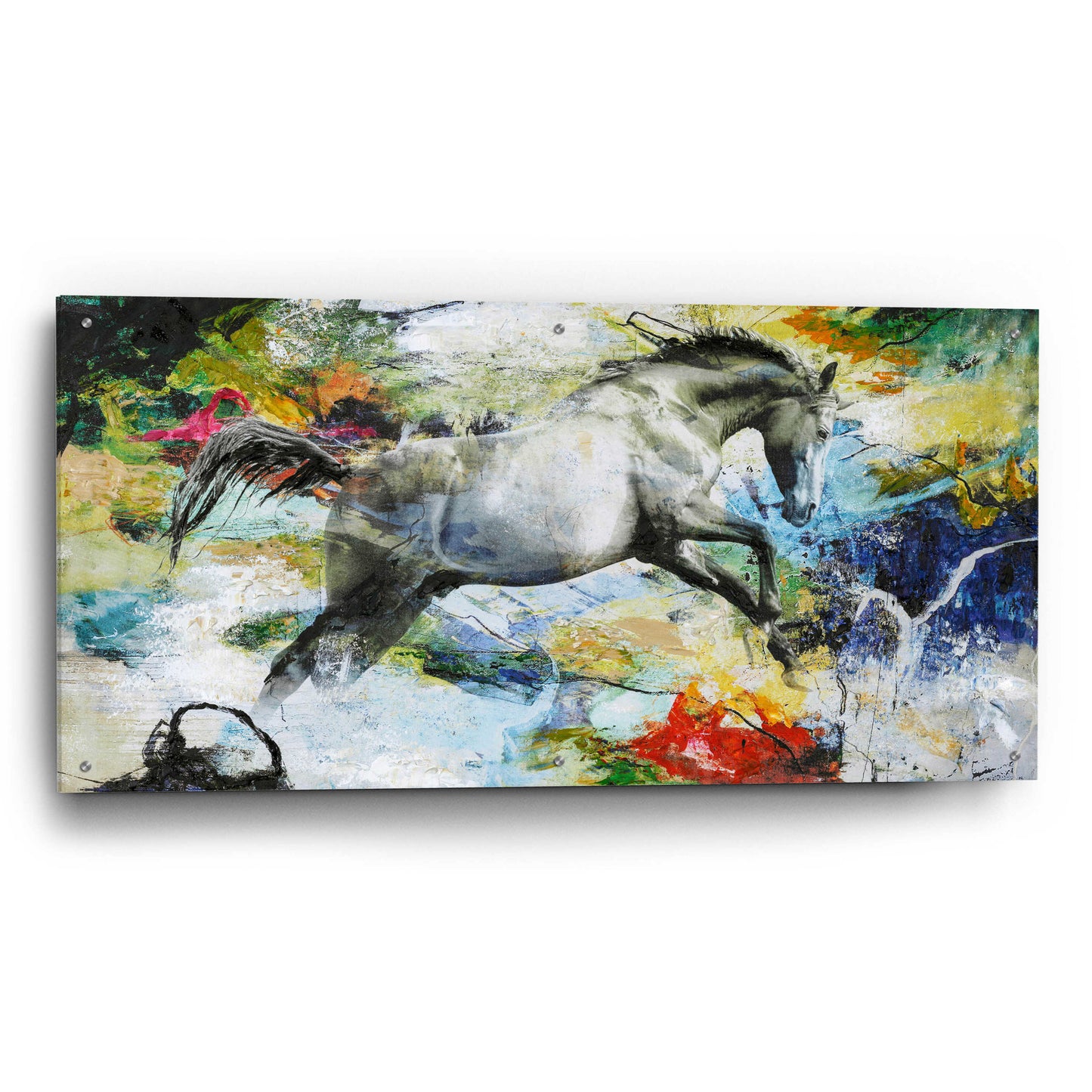 Epic Art 'Horse' by Design Fabrikken, Acrylic Glass Wall Art,48x24