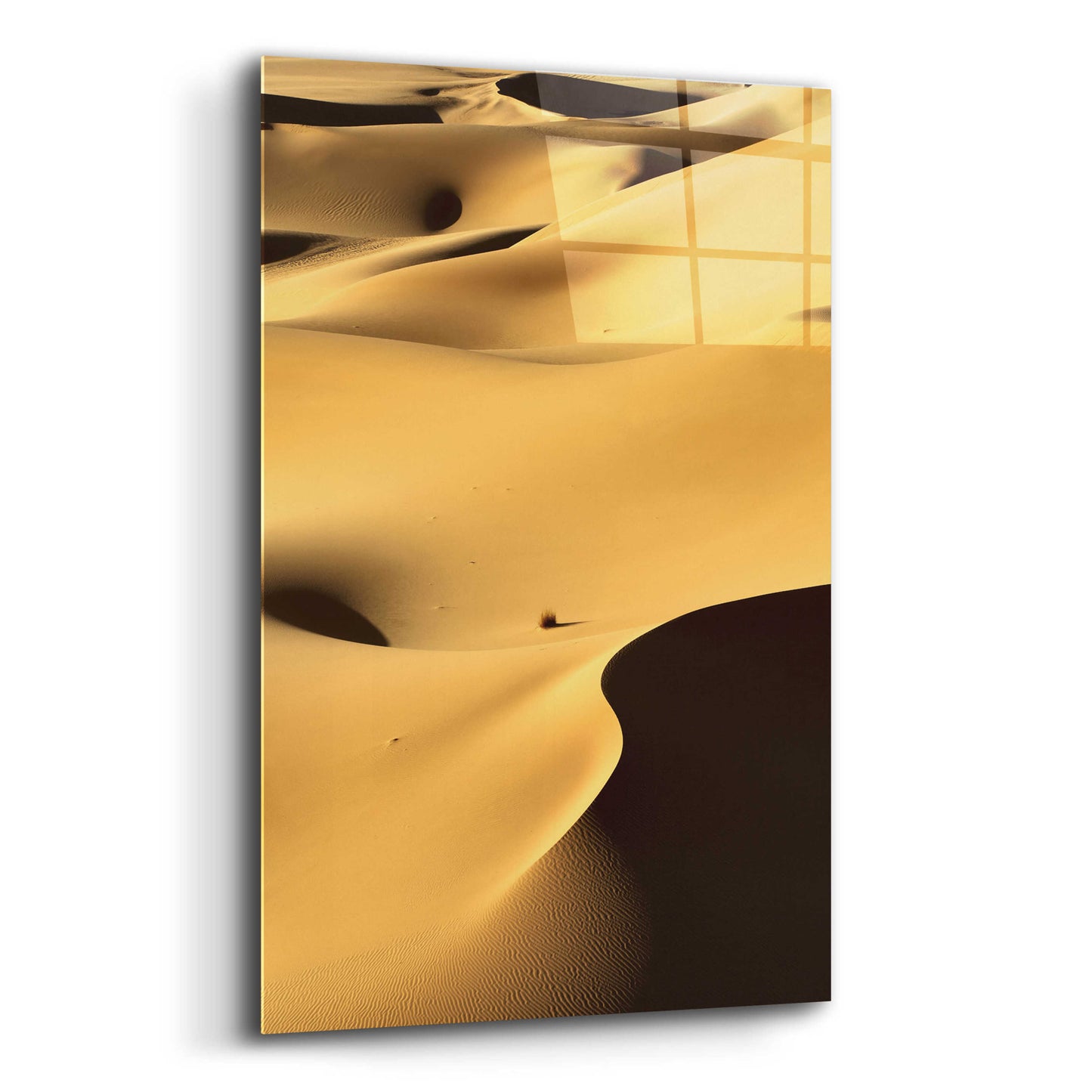 Epic Art 'In the Dunes 1' by Design Fabrikken, Acrylic Glass Wall Art,12x16