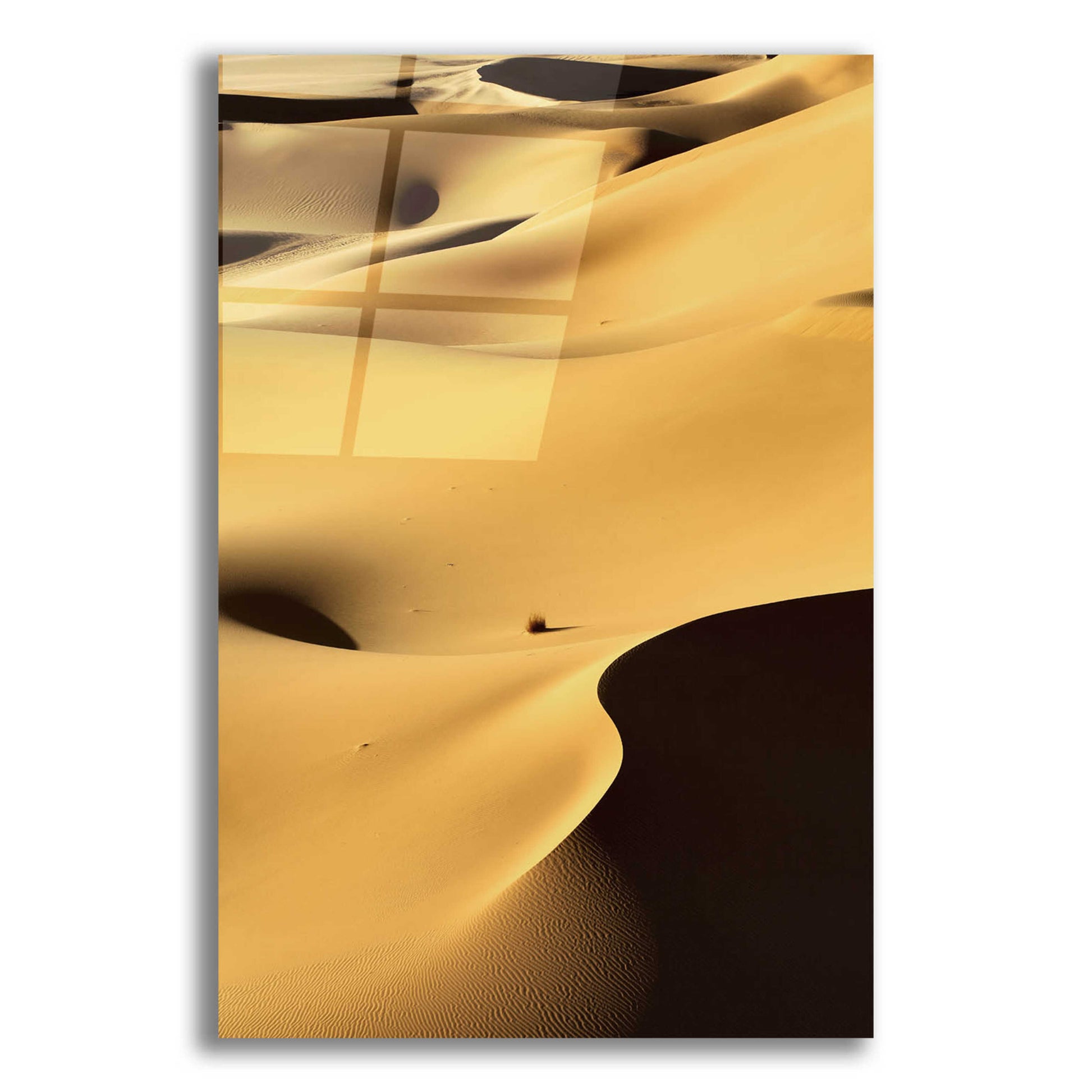 Epic Art 'In the Dunes 1' by Design Fabrikken, Acrylic Glass Wall Art,12x16