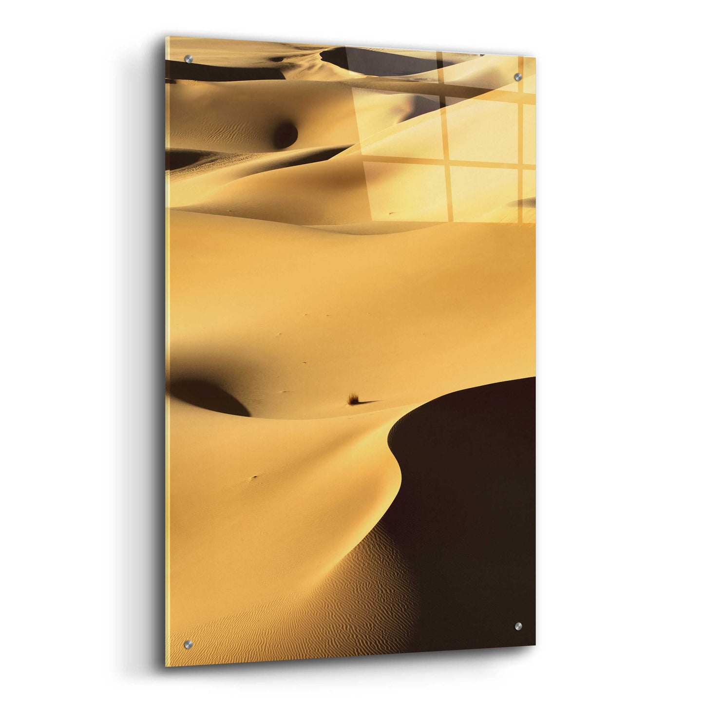 Epic Art 'In the Dunes 1' by Design Fabrikken, Acrylic Glass Wall Art,24x36