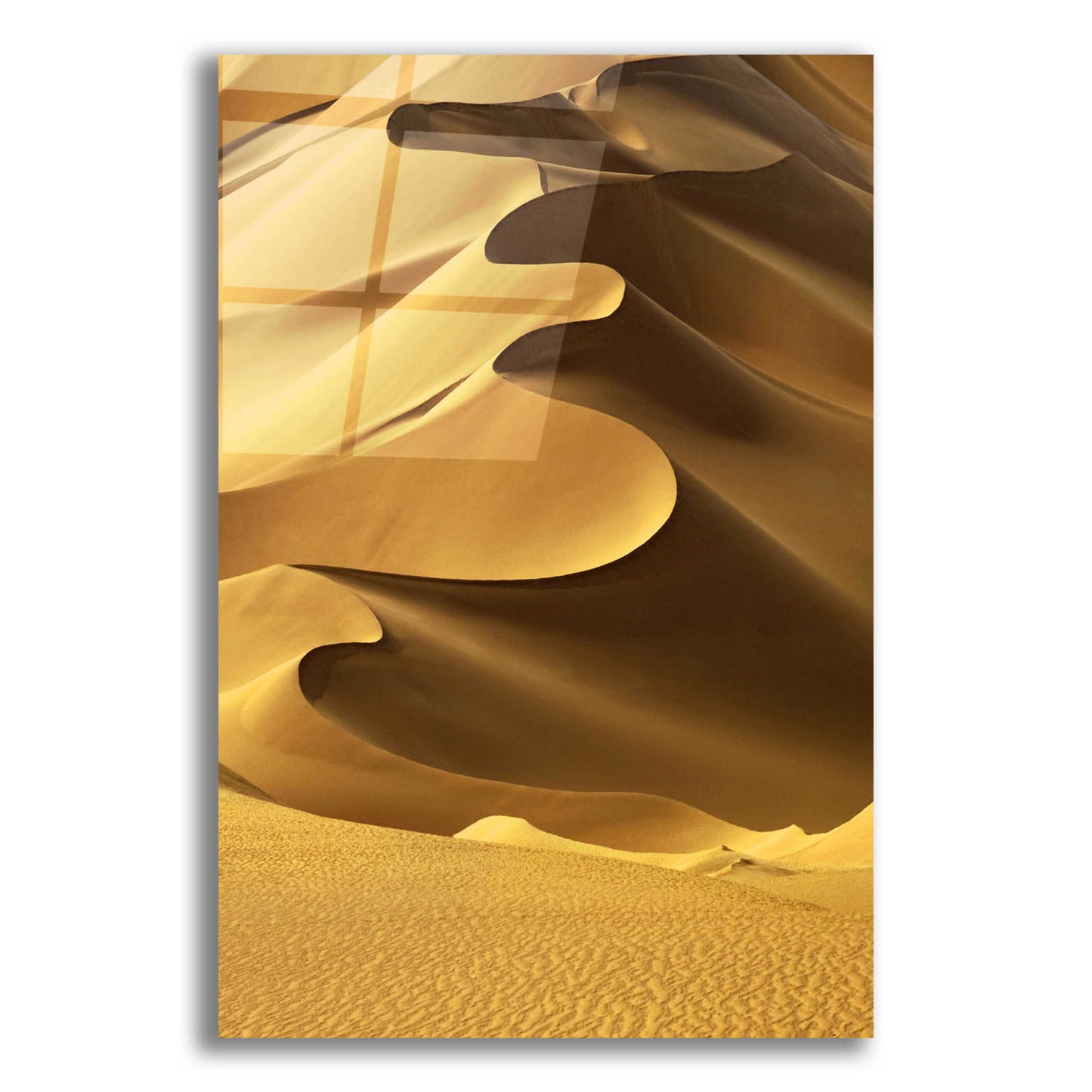 Epic Art 'In the Dunes 2' by Design Fabrikken, Acrylic Glass Wall Art,12x16