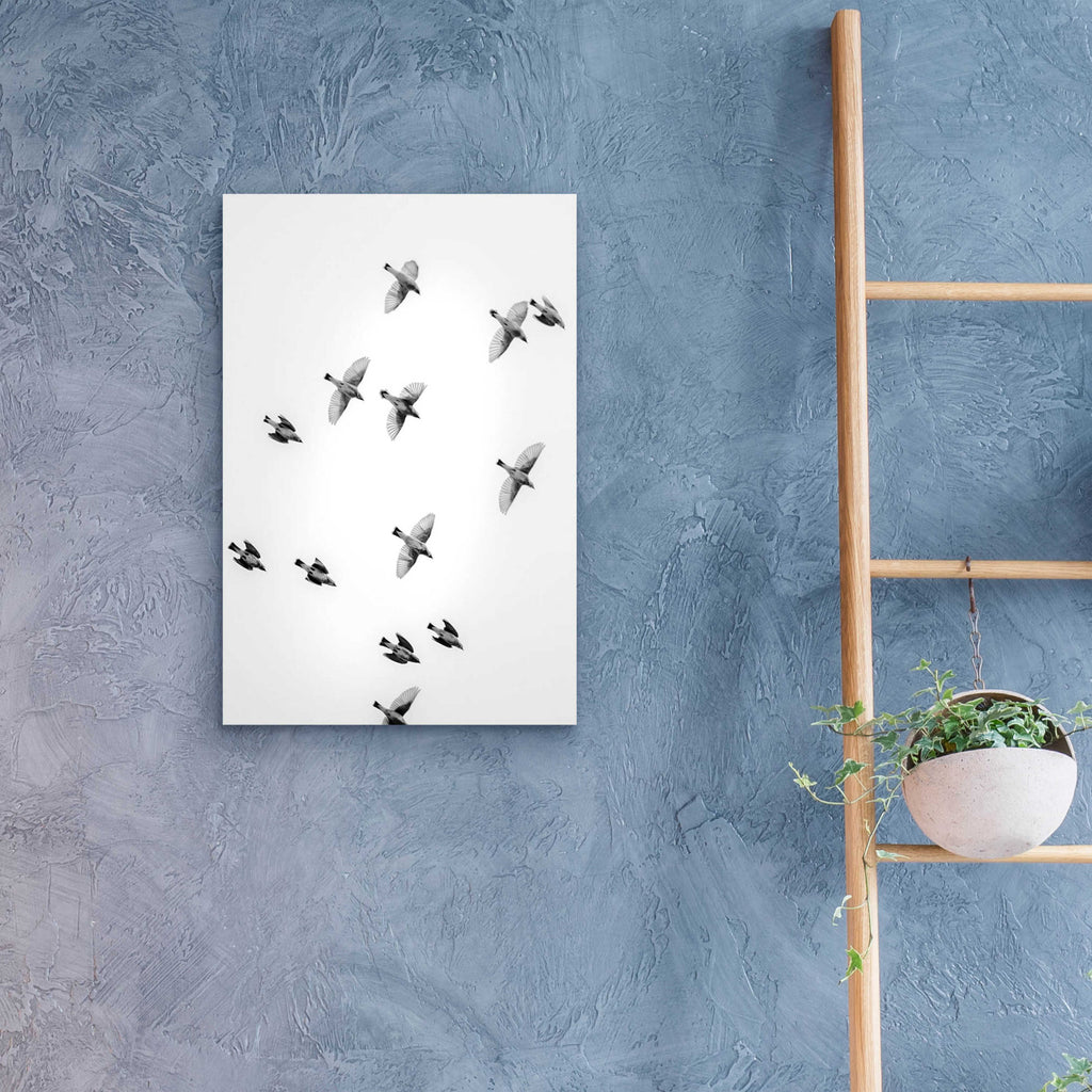 Epic Art 'In the Sky 1' by Design Fabrikken, Acrylic Glass Wall Art,16x24