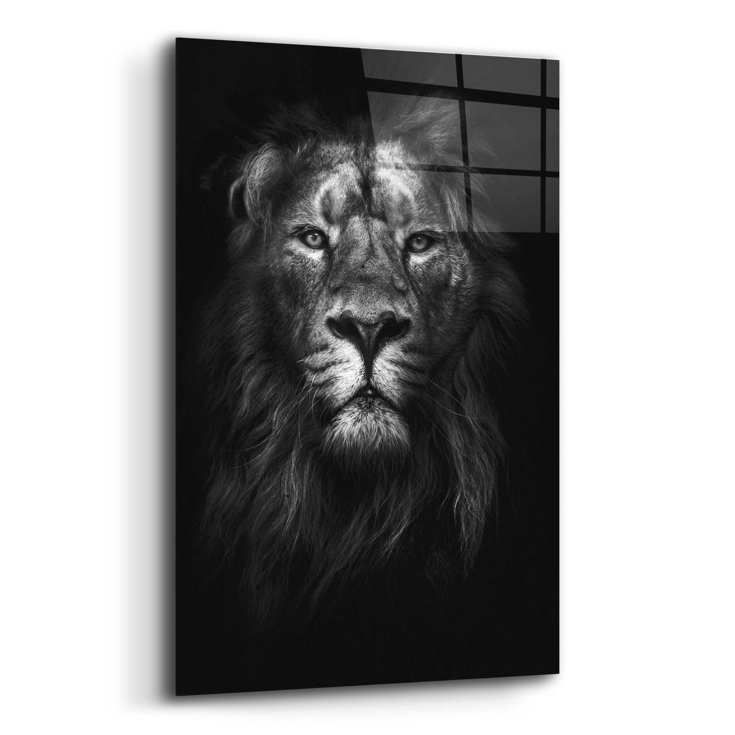 Epic Art 'King of Kings' by Design Fabrikken, Acrylic Glass Wall Art,12x16