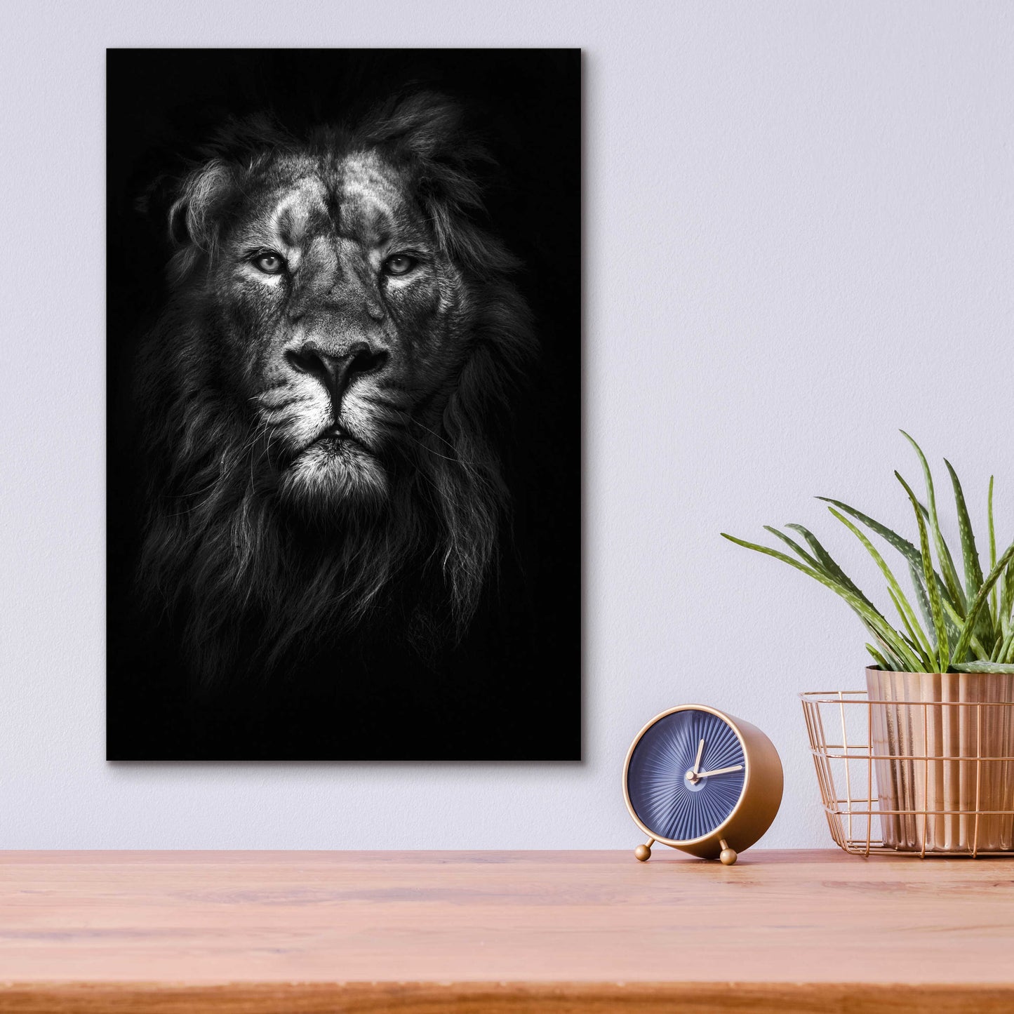 Epic Art 'King of Kings' by Design Fabrikken, Acrylic Glass Wall Art,12x16