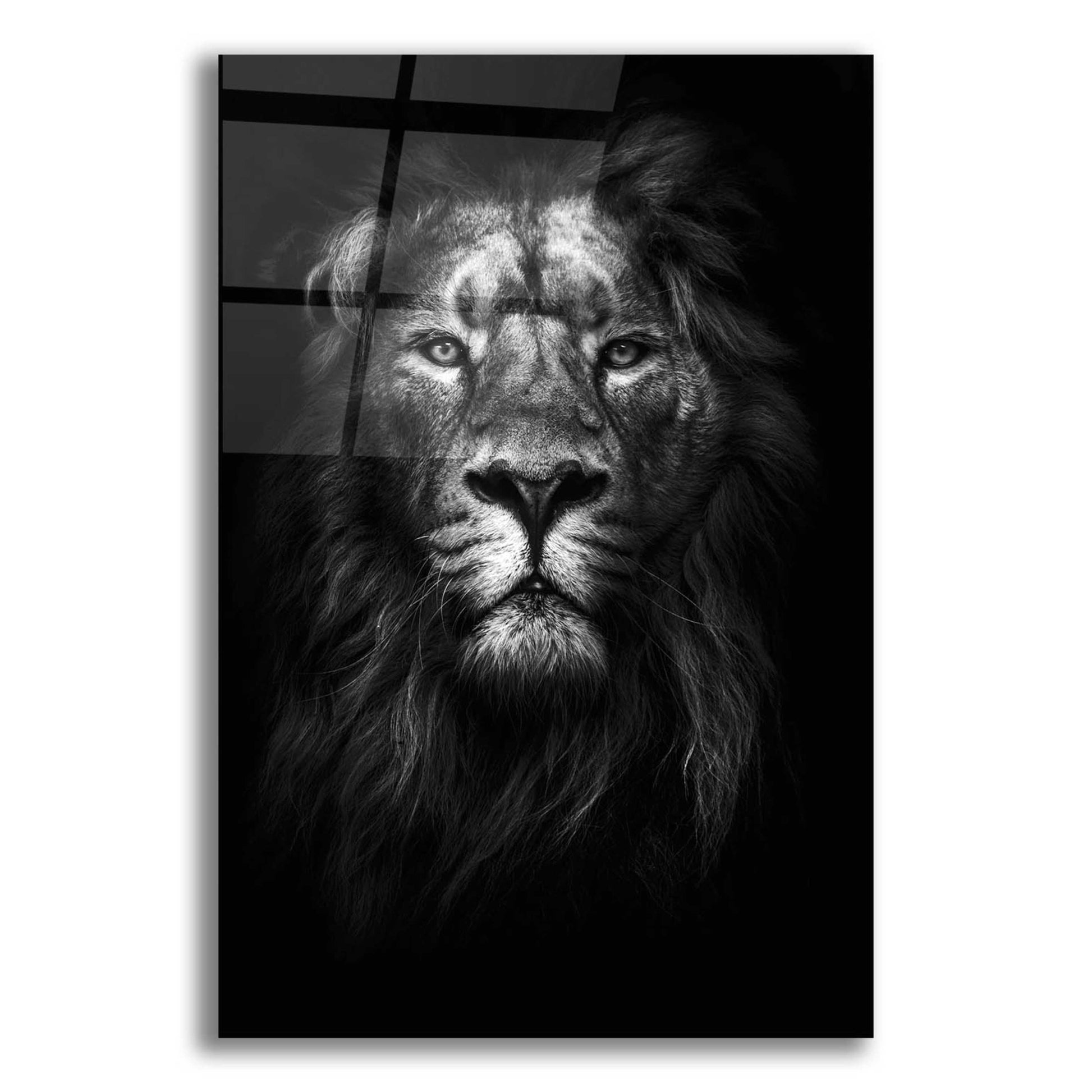 Epic Art 'King of Kings' by Design Fabrikken, Acrylic Glass Wall Art,12x16