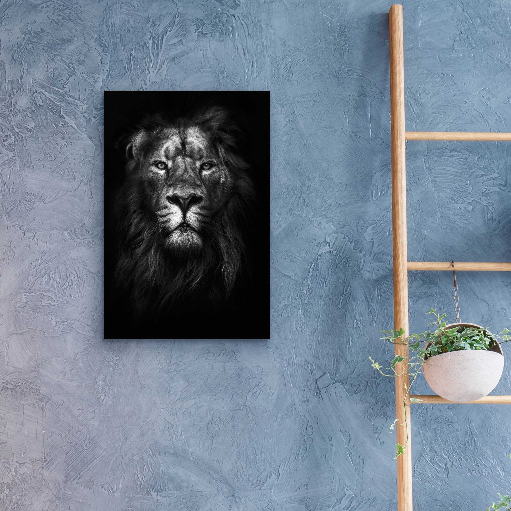 Epic Art 'King of Kings' by Design Fabrikken, Acrylic Glass Wall Art,16x24