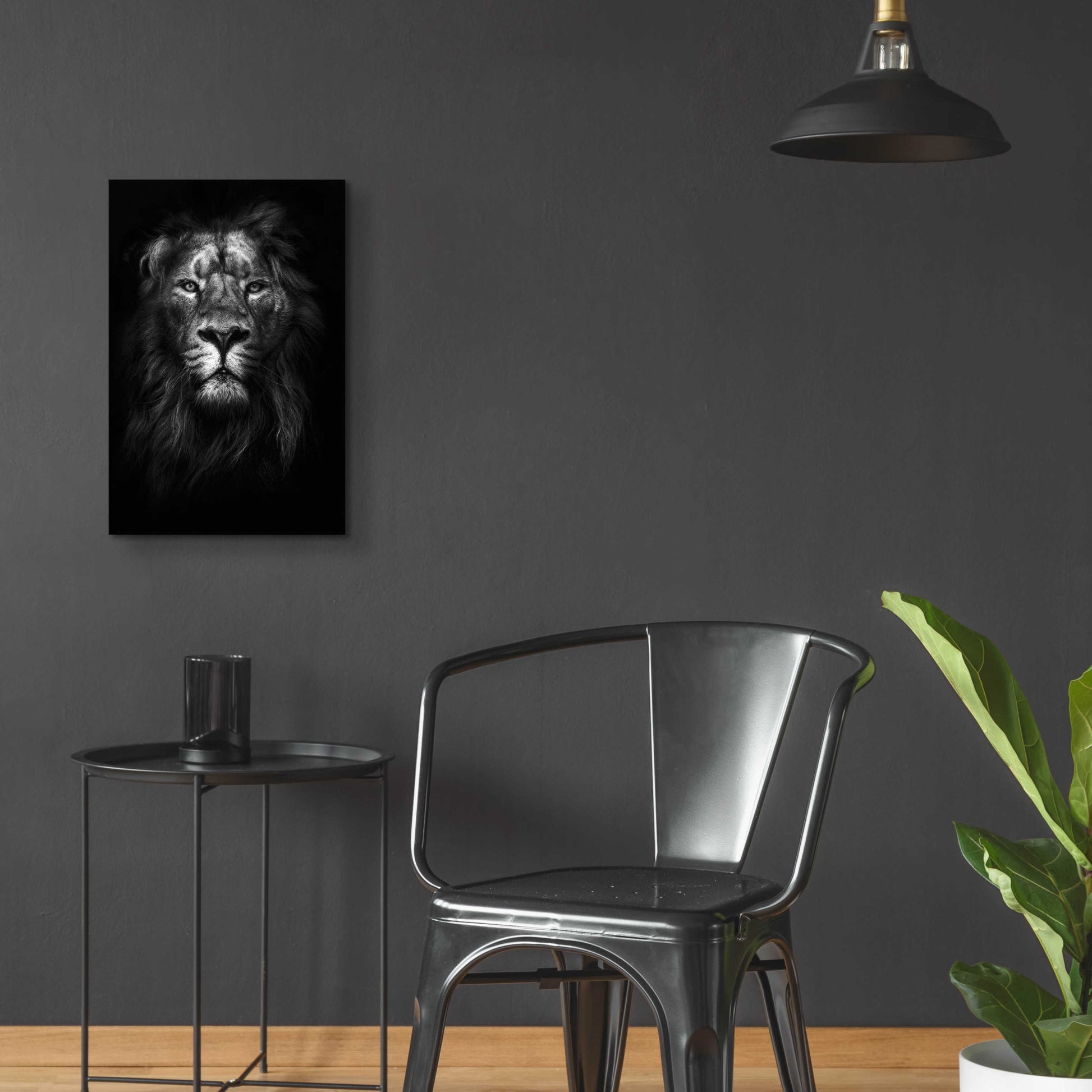 Epic Art 'King of Kings' by Design Fabrikken, Acrylic Glass Wall Art,16x24