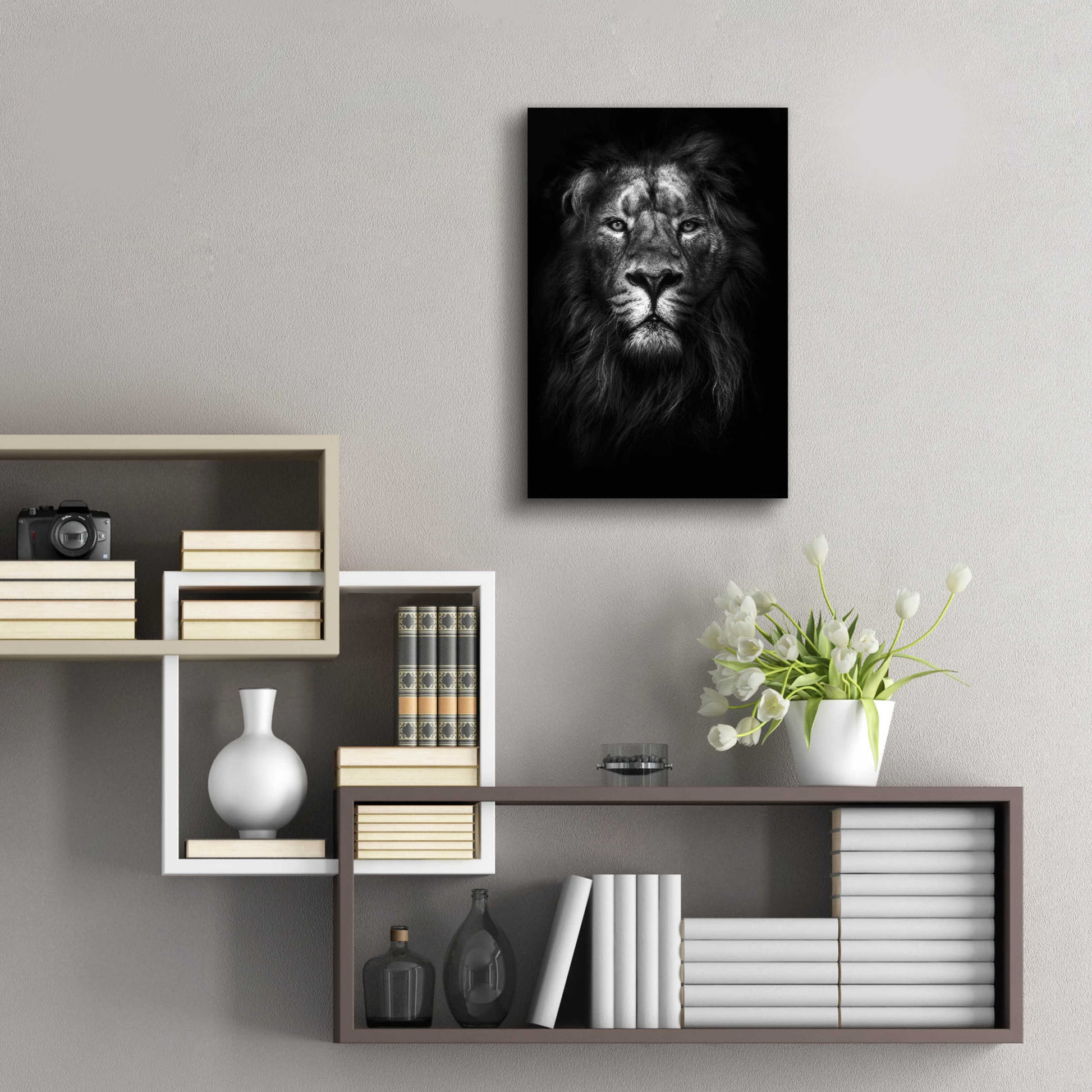 Epic Art 'King of Kings' by Design Fabrikken, Acrylic Glass Wall Art,16x24