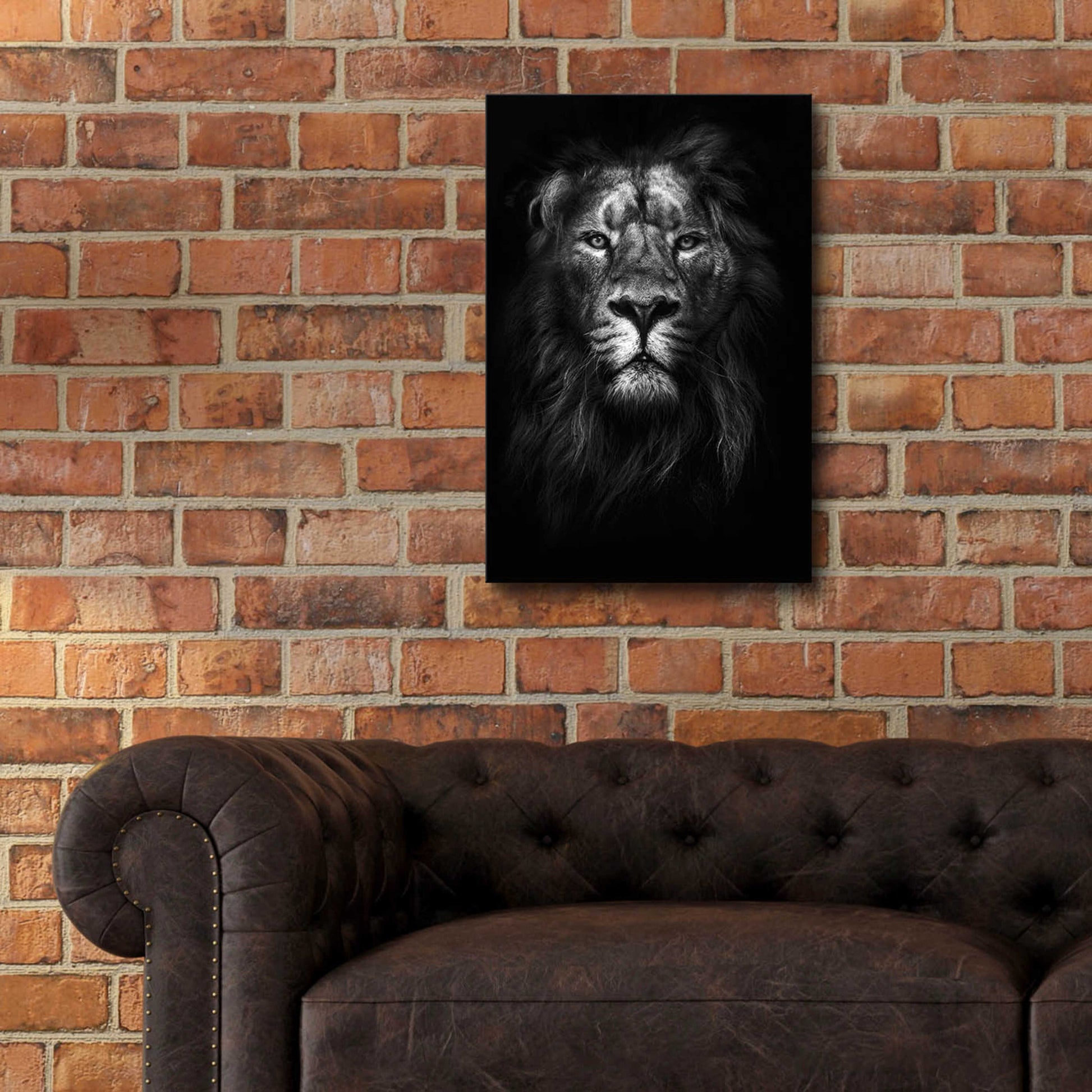 Epic Art 'King of Kings' by Design Fabrikken, Acrylic Glass Wall Art,16x24