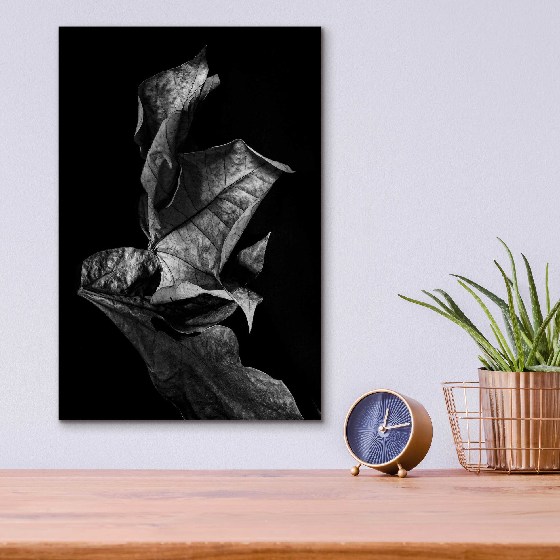 Epic Art 'Leaf Composition Dark' by Design Fabrikken, Acrylic Glass Wall Art,12x16