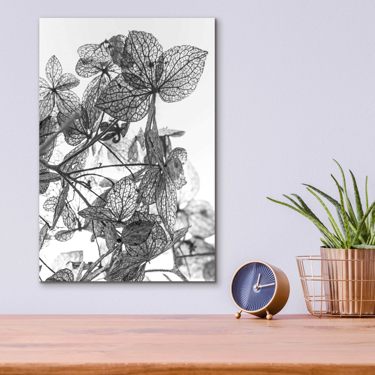 Epic Art 'Leaf Composition' by Design Fabrikken, Acrylic Glass Wall Art,12x16