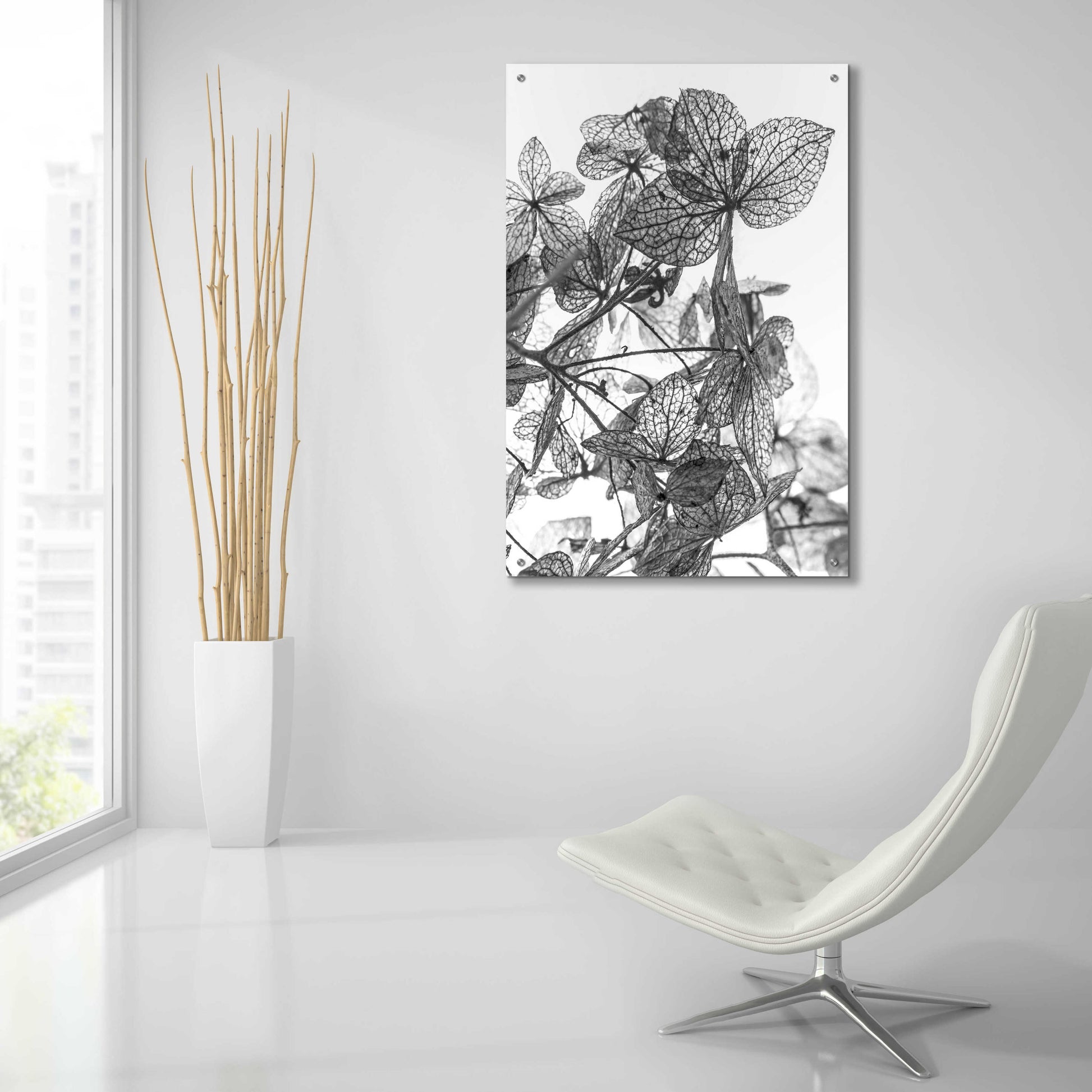 Epic Art 'Leaf Composition' by Design Fabrikken, Acrylic Glass Wall Art,24x36