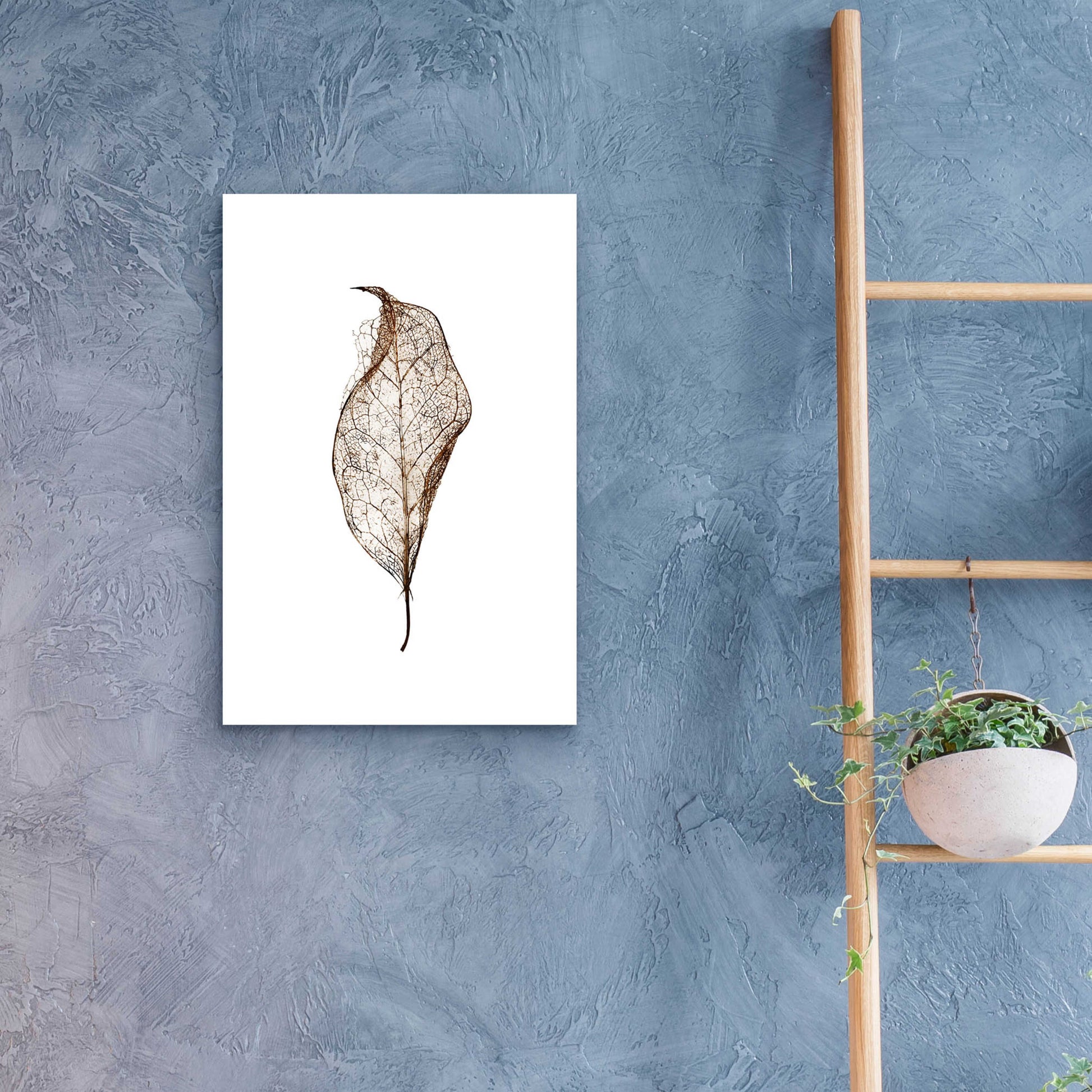 Epic Art 'Leaf' by Design Fabrikken, Acrylic Glass Wall Art,16x24