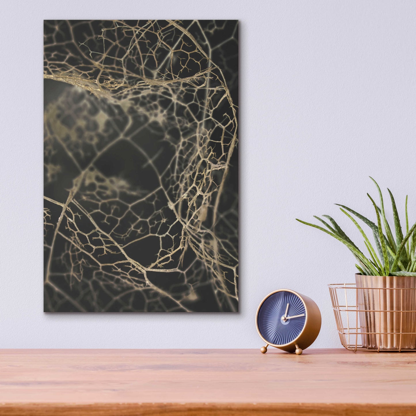 Epic Art 'Leaf Skeleton Dark' by Design Fabrikken, Acrylic Glass Wall Art,12x16