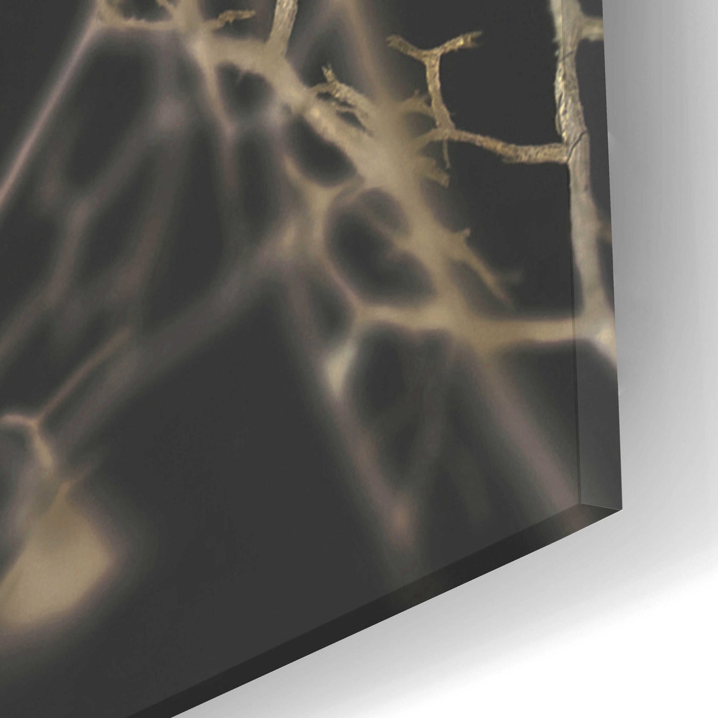 Epic Art 'Leaf Skeleton Dark' by Design Fabrikken, Acrylic Glass Wall Art,16x24