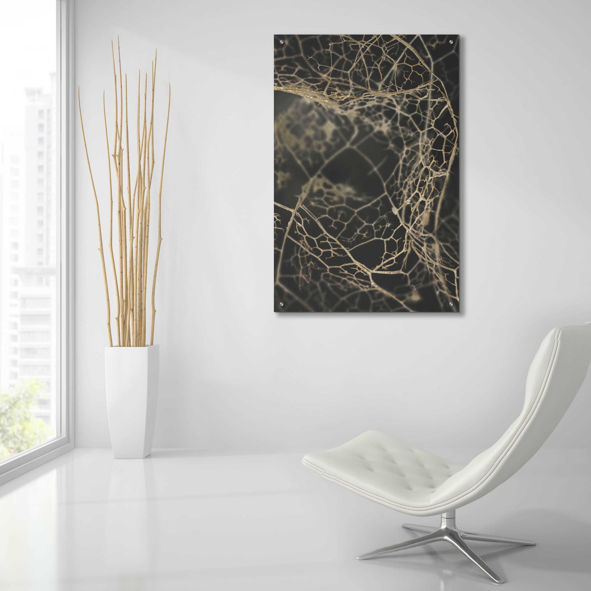 Epic Art 'Leaf Skeleton Dark' by Design Fabrikken, Acrylic Glass Wall Art,24x36