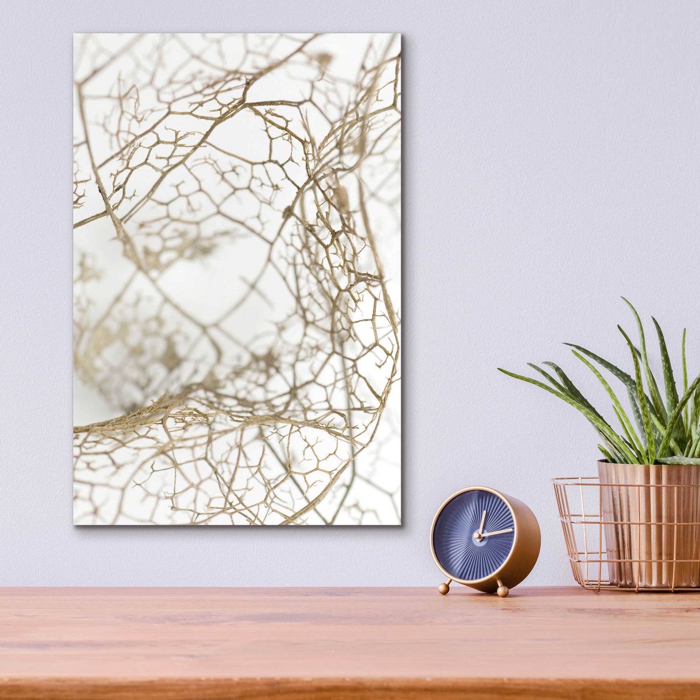 Epic Art 'Leaf Skeleton' by Design Fabrikken, Acrylic Glass Wall Art,12x16