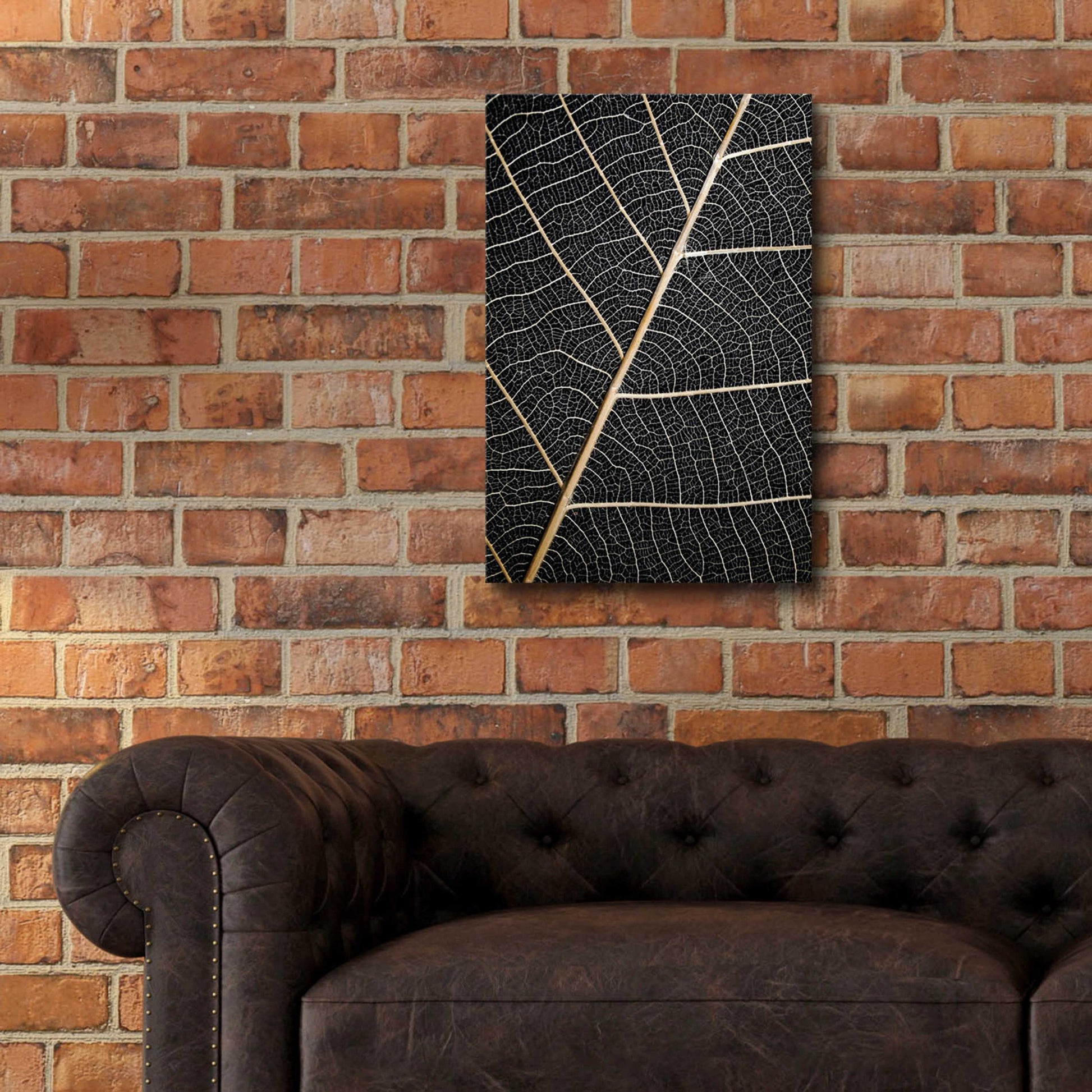 Epic Art 'Leaf Veins' by Design Fabrikken, Acrylic Glass Wall Art,16x24