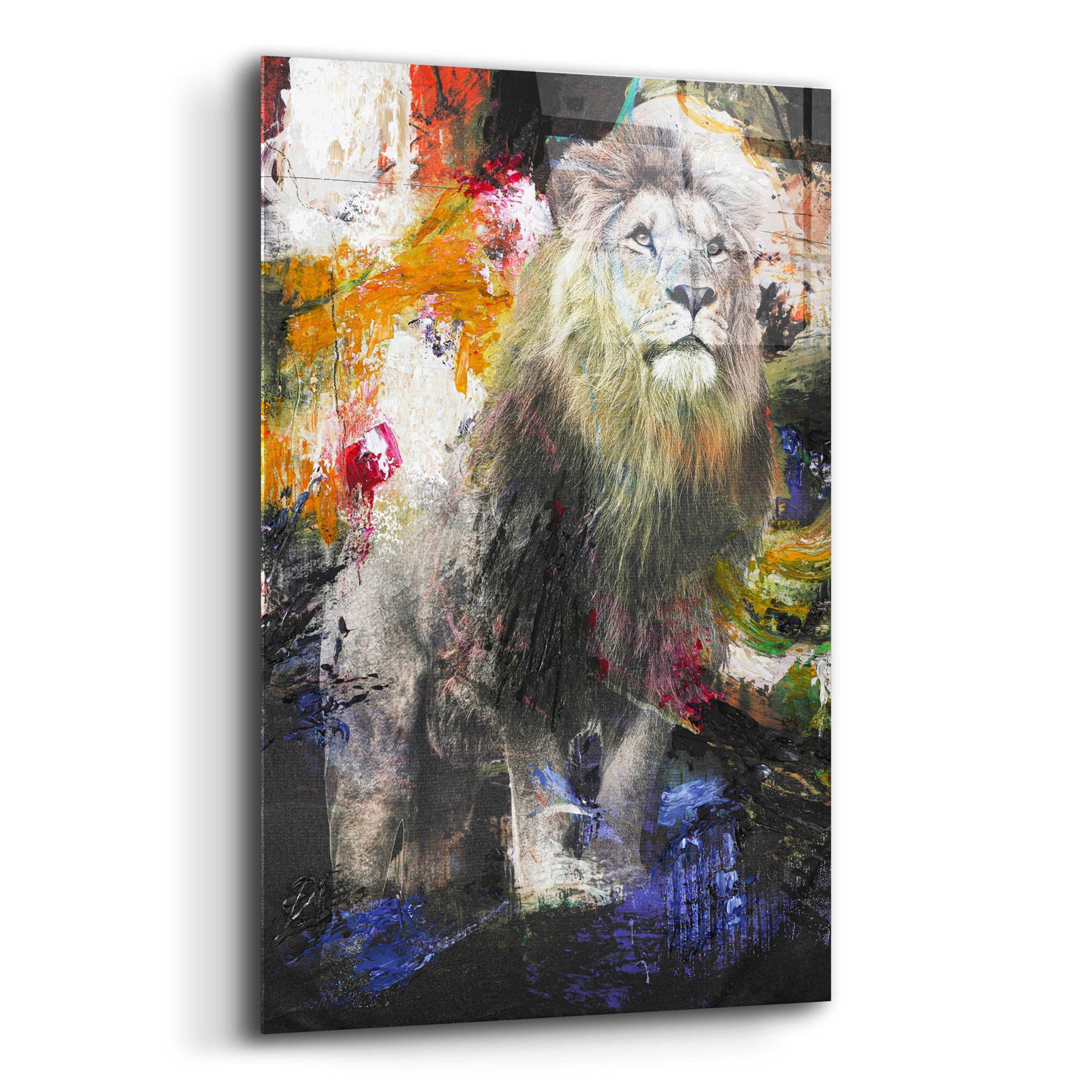 Epic Art 'Lion' by Design Fabrikken, Acrylic Glass Wall Art,12x16