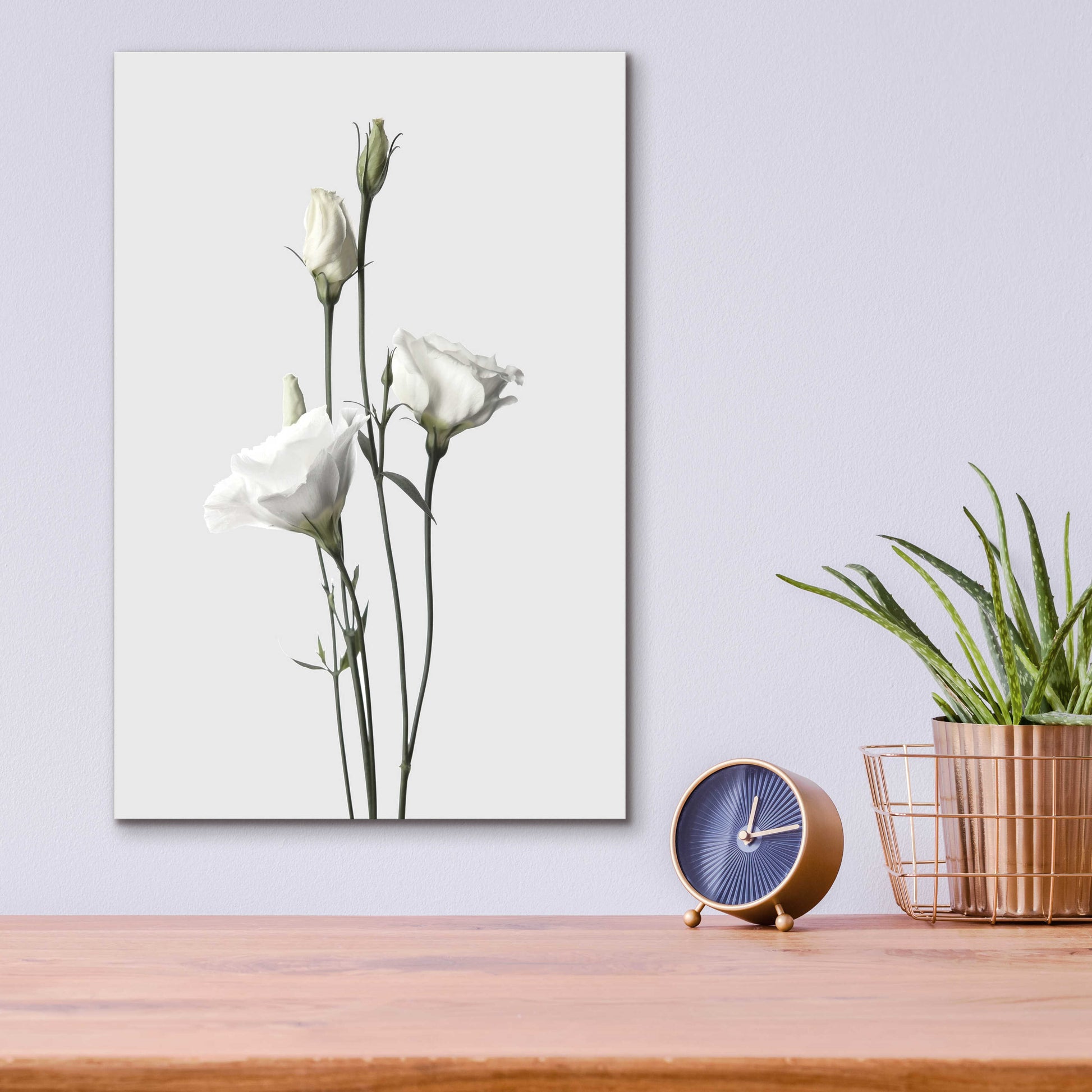 Epic Art 'Lisianthus White' by Design Fabrikken, Acrylic Glass Wall Art,12x16