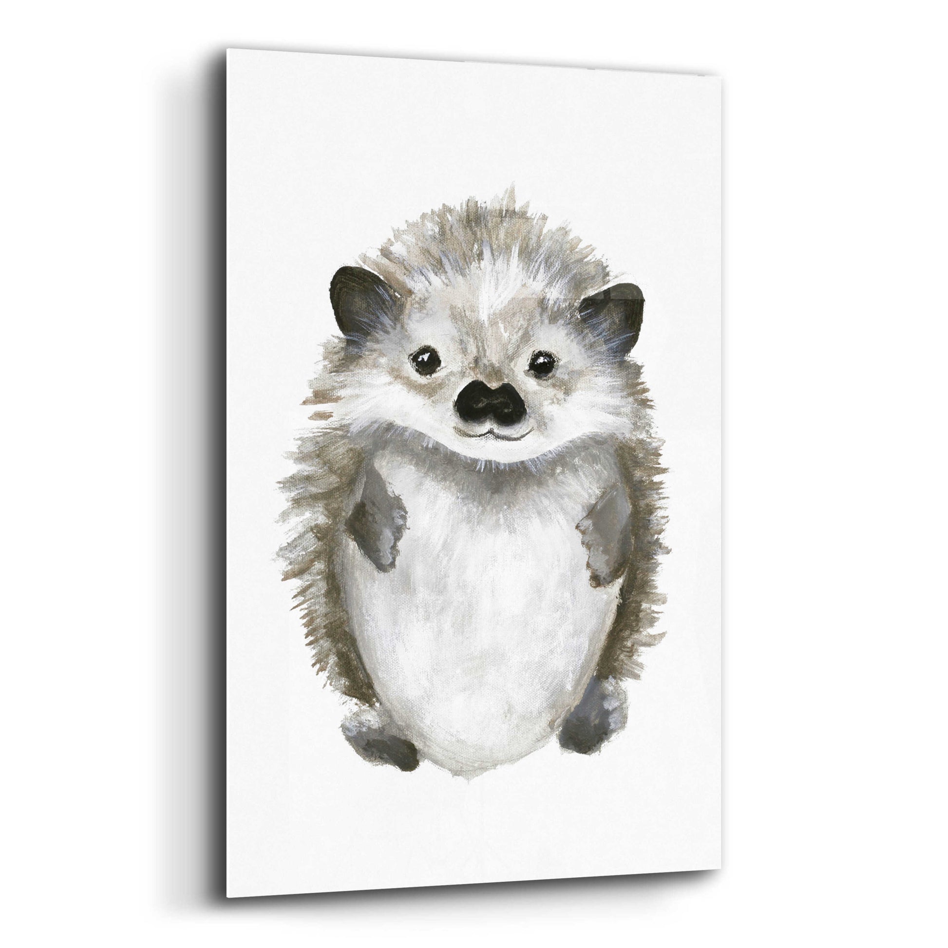 Epic Art 'Little Hedgehog' by Design Fabrikken, Acrylic Glass Wall Art,12x16