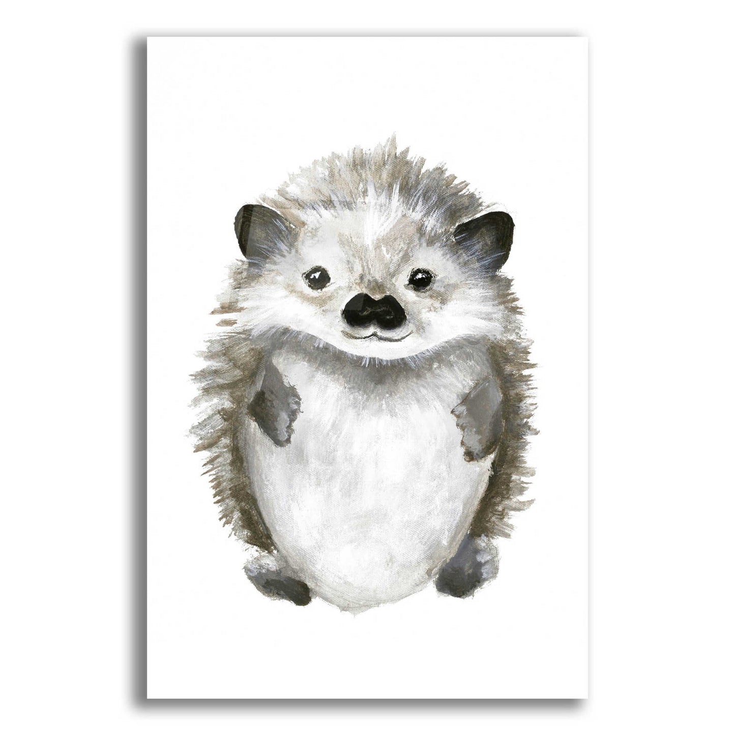 Epic Art 'Little Hedgehog' by Design Fabrikken, Acrylic Glass Wall Art,12x16