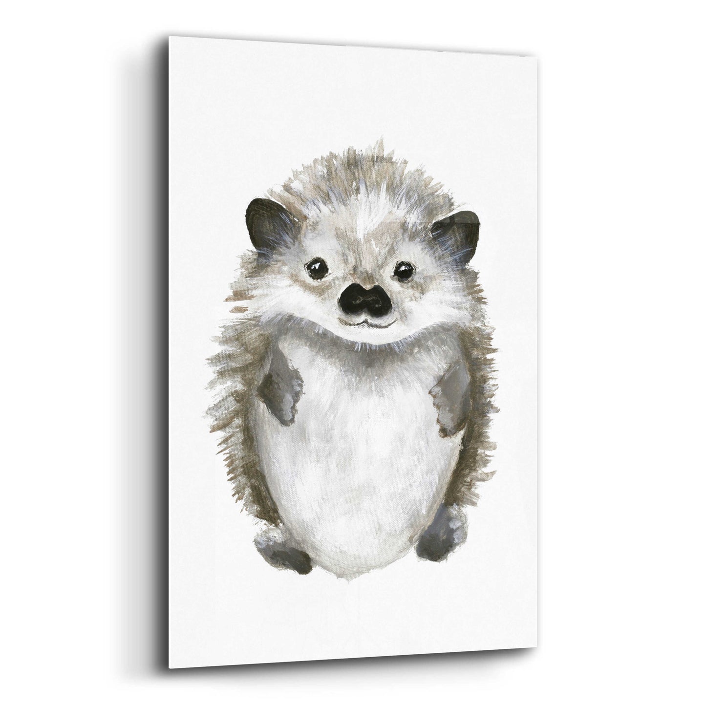 Epic Art 'Little Hedgehog' by Design Fabrikken, Acrylic Glass Wall Art,16x24