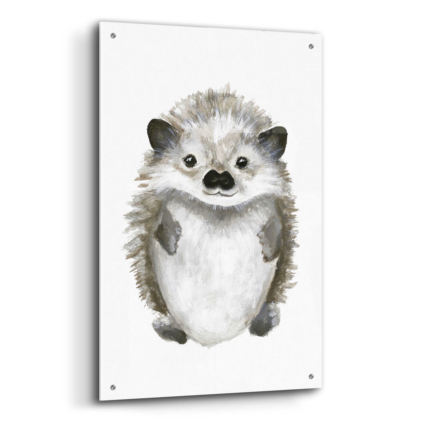 Epic Art 'Little Hedgehog' by Design Fabrikken, Acrylic Glass Wall Art,24x36