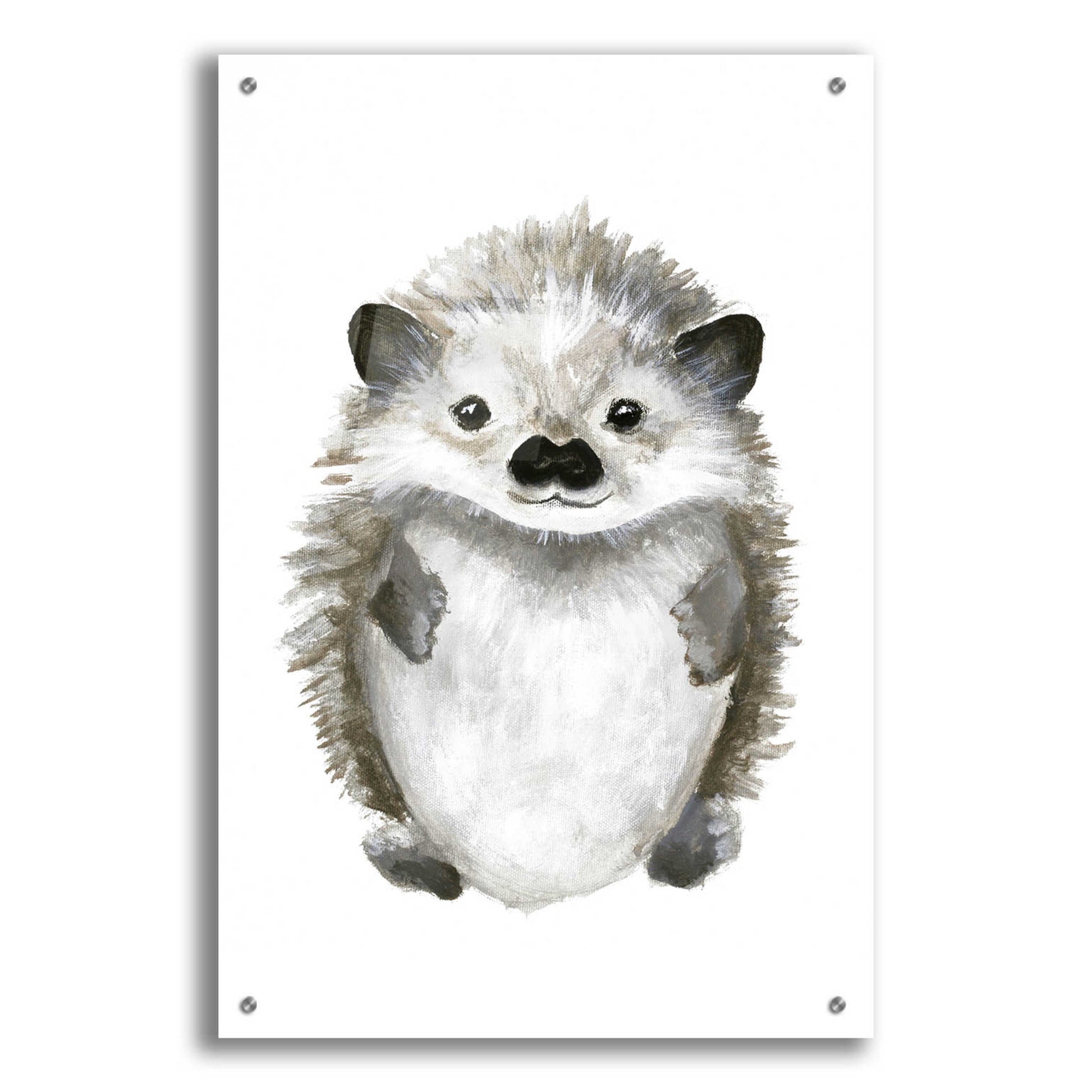 Epic Art 'Little Hedgehog' by Design Fabrikken, Acrylic Glass Wall Art,24x36