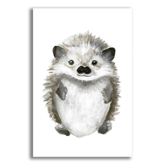 Epic Art 'Little Hedgehog' by Design Fabrikken, Acrylic Glass Wall Art