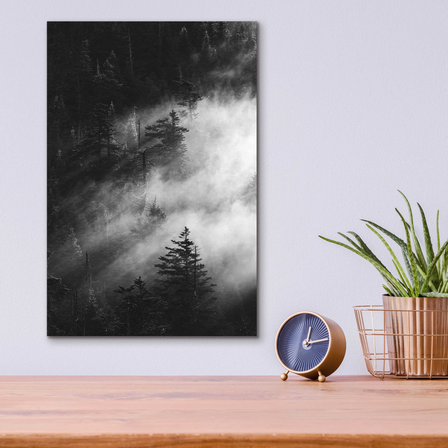 Epic Art 'Misty Pine Woods' by Design Fabrikken, Acrylic Glass Wall Art,12x16