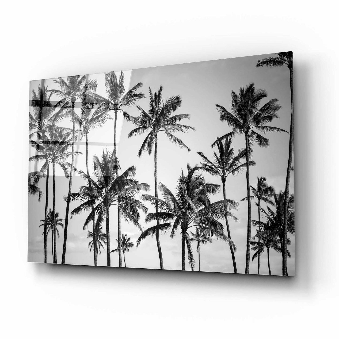 Epic Art 'Palm Heaven' by Design Fabrikken, Acrylic Glass Wall Art,16x12