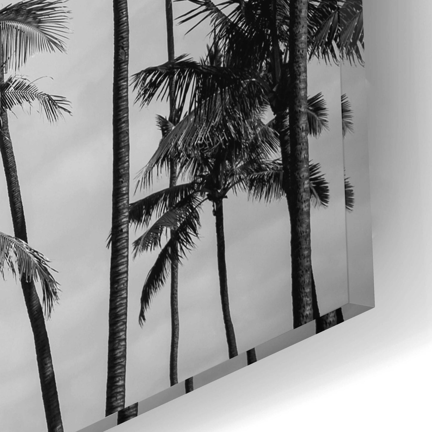 Epic Art 'Palm Heaven' by Design Fabrikken, Acrylic Glass Wall Art,16x12