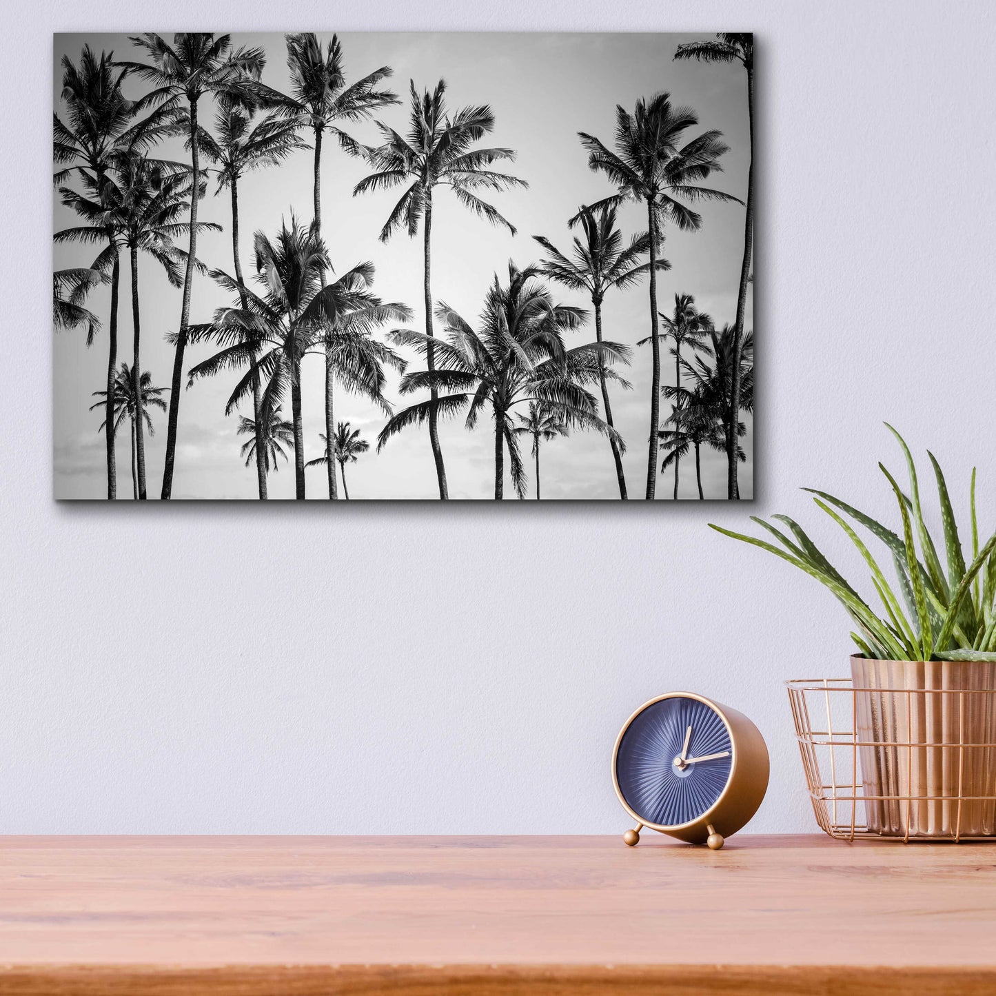 Epic Art 'Palm Heaven' by Design Fabrikken, Acrylic Glass Wall Art,16x12