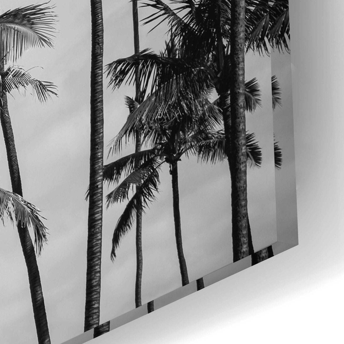 Epic Art 'Palm Heaven' by Design Fabrikken, Acrylic Glass Wall Art,24x16