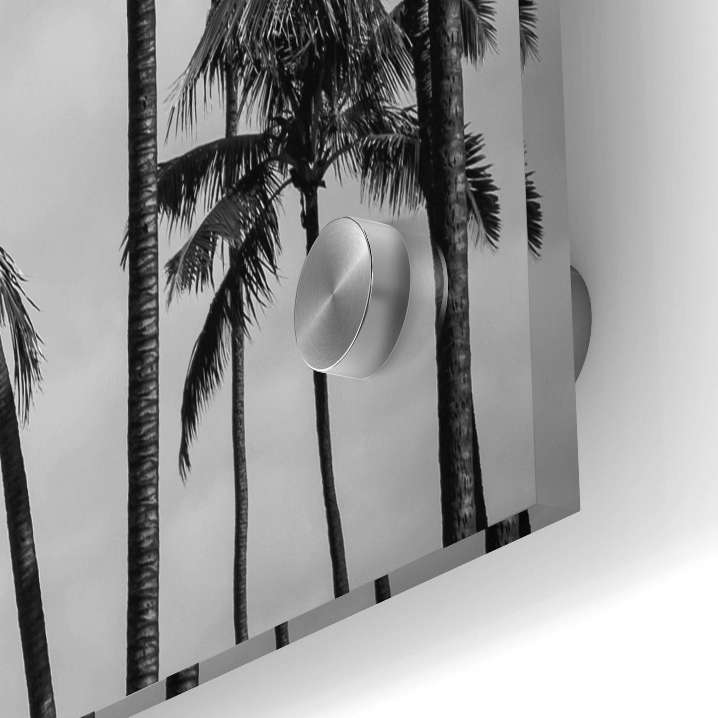 Epic Art 'Palm Heaven' by Design Fabrikken, Acrylic Glass Wall Art,36x24