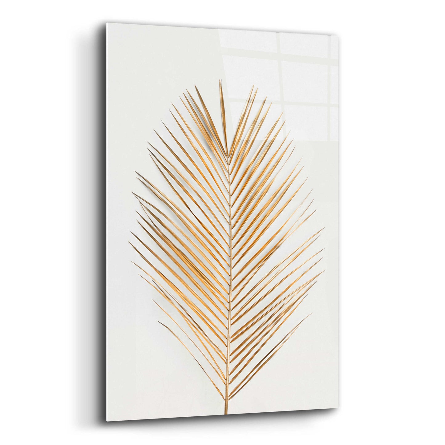 Epic Art 'Palm Leaf Gold' by Design Fabrikken, Acrylic Glass Wall Art,12x16