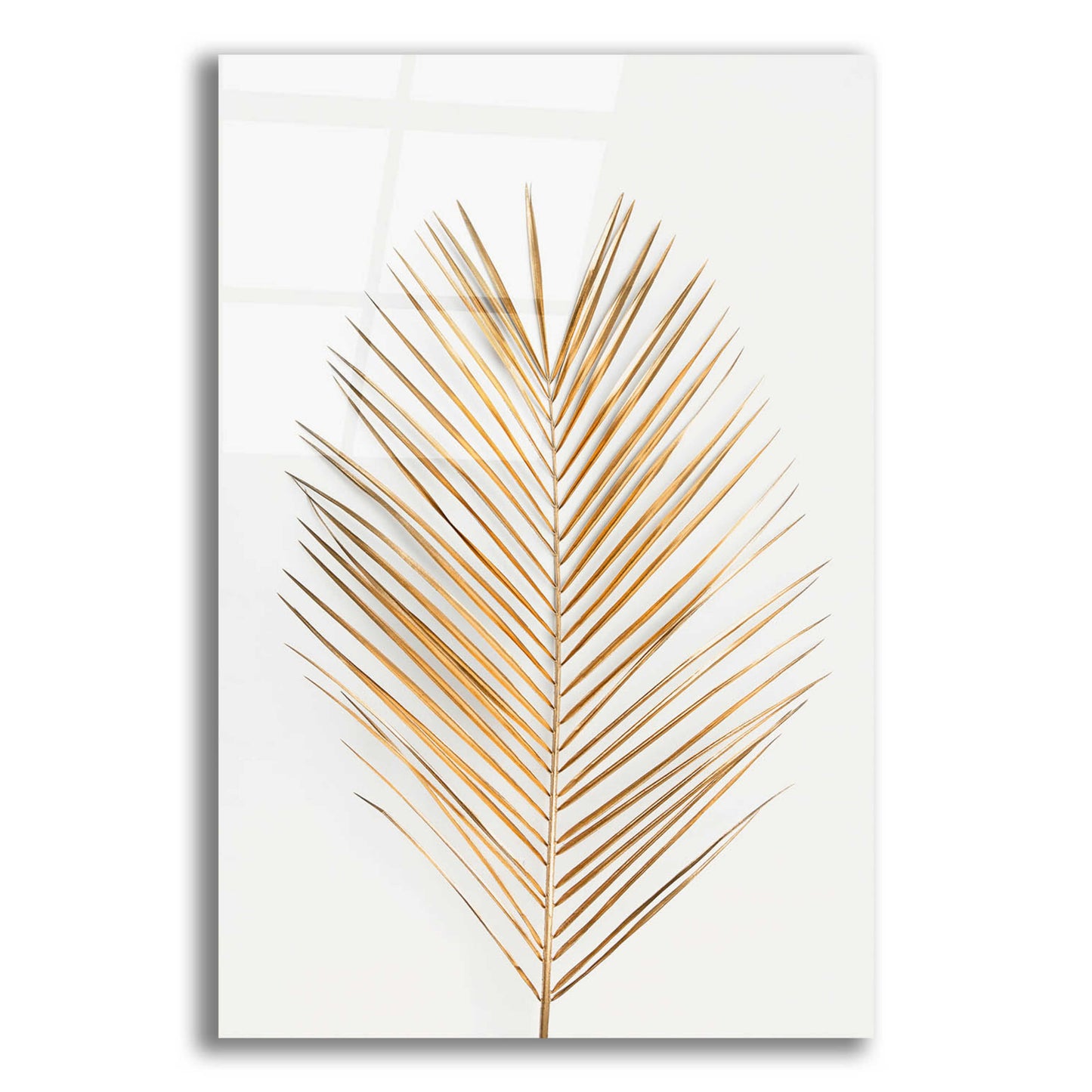 Epic Art 'Palm Leaf Gold' by Design Fabrikken, Acrylic Glass Wall Art,12x16