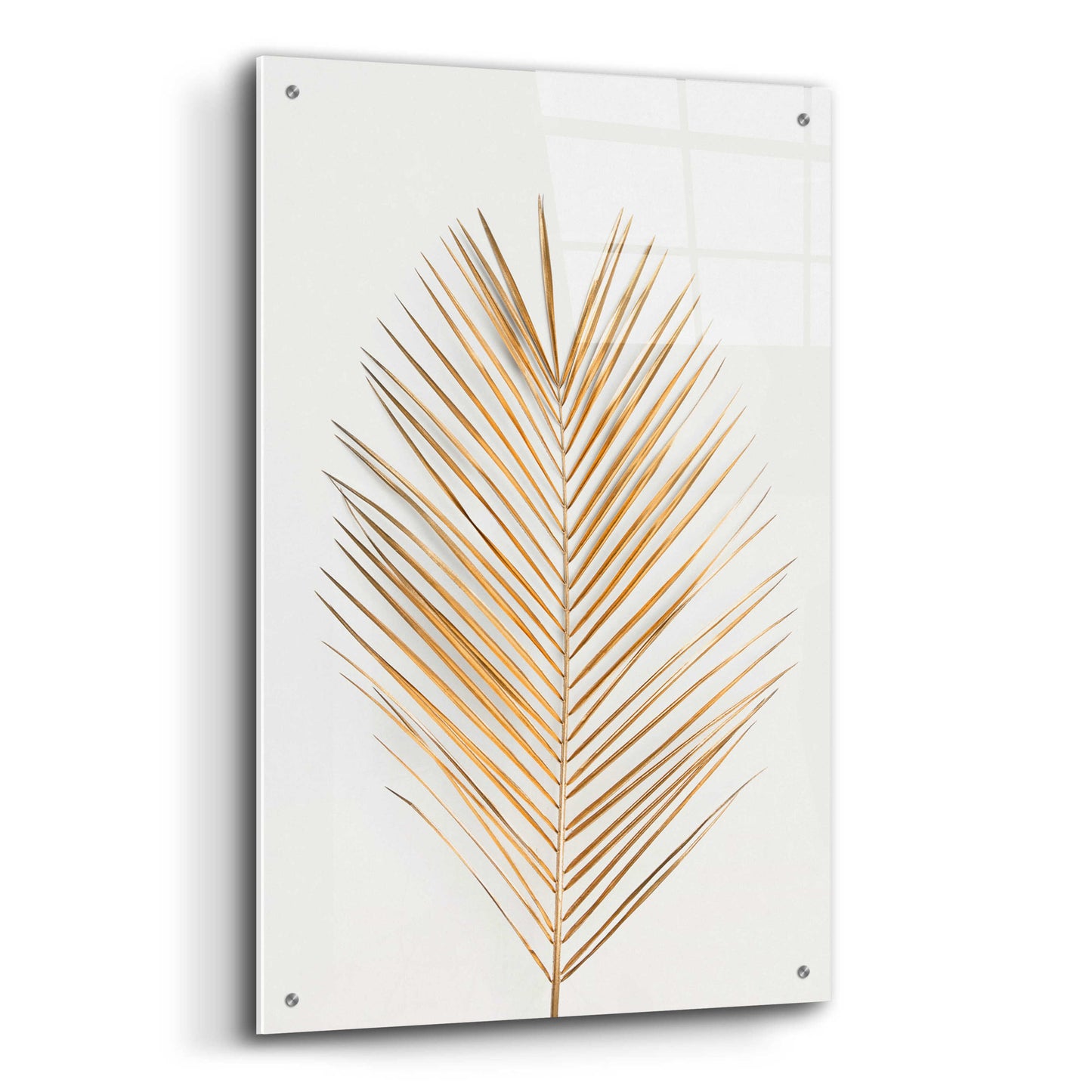 Epic Art 'Palm Leaf Gold' by Design Fabrikken, Acrylic Glass Wall Art,24x36