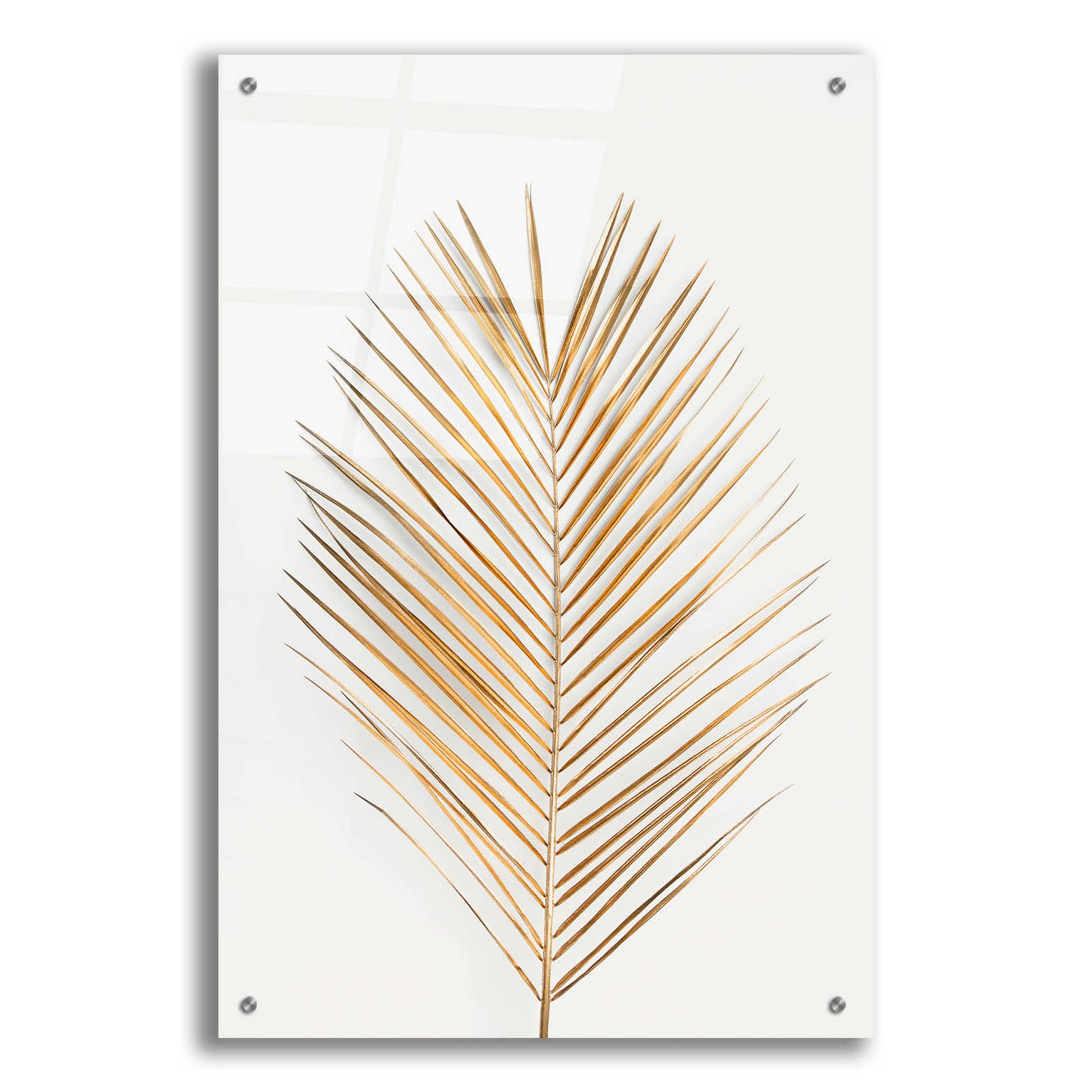 Epic Art 'Palm Leaf Gold' by Design Fabrikken, Acrylic Glass Wall Art,24x36