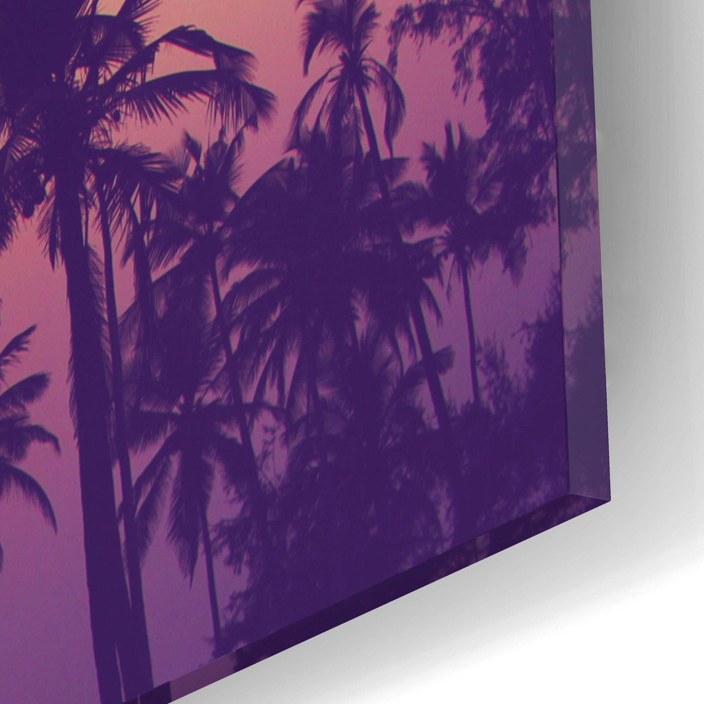 Epic Art 'Palm Sky 1' by Design Fabrikken, Acrylic Glass Wall Art,16x12