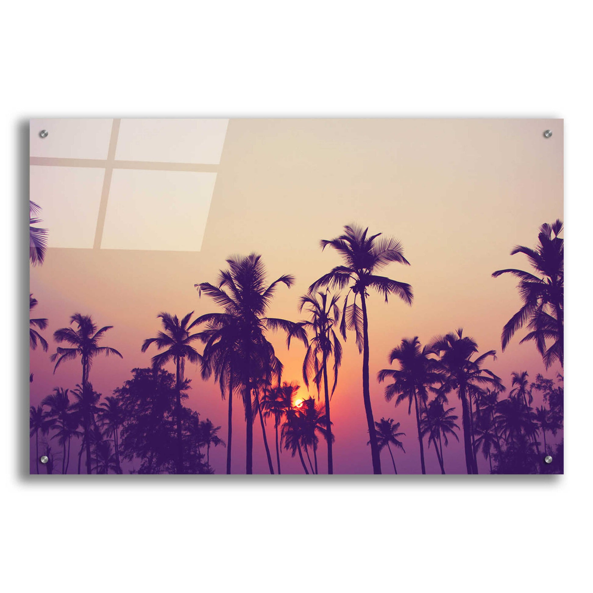 Epic Art 'Palm Sky 1' by Design Fabrikken, Acrylic Glass Wall Art,36x24