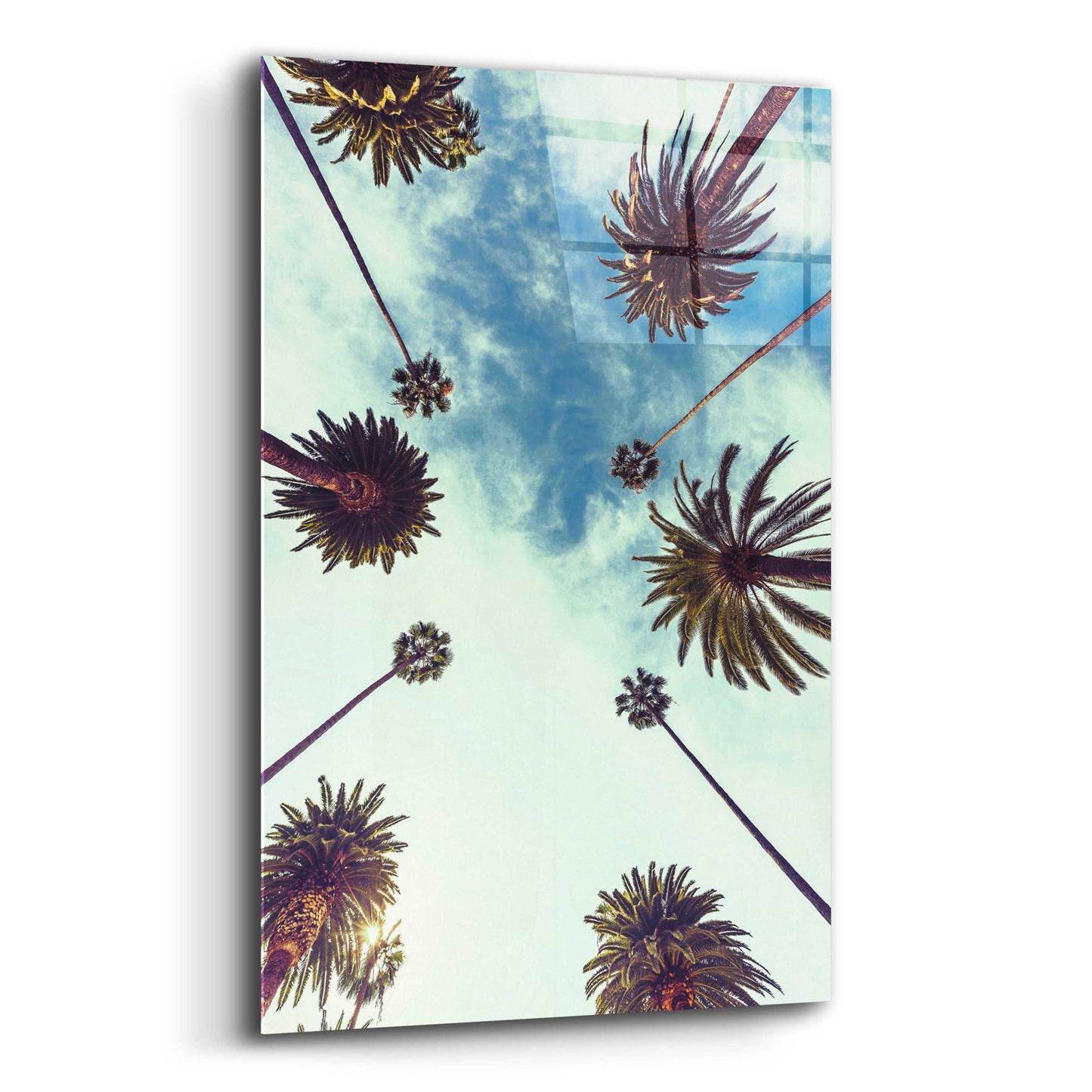 Epic Art 'Palm Sky 2' by Design Fabrikken, Acrylic Glass Wall Art,12x16