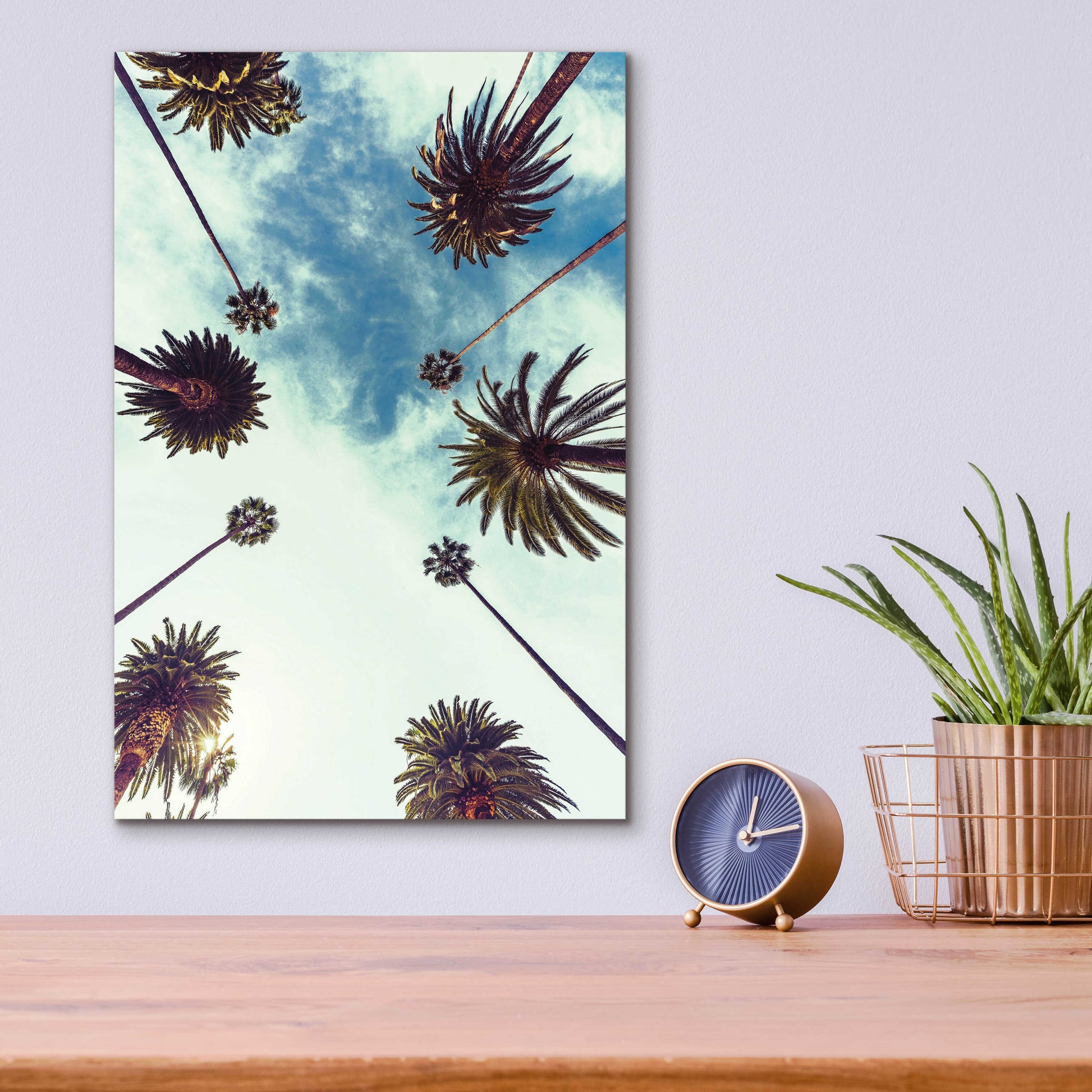 Epic Art 'Palm Sky 2' by Design Fabrikken, Acrylic Glass Wall Art,12x16