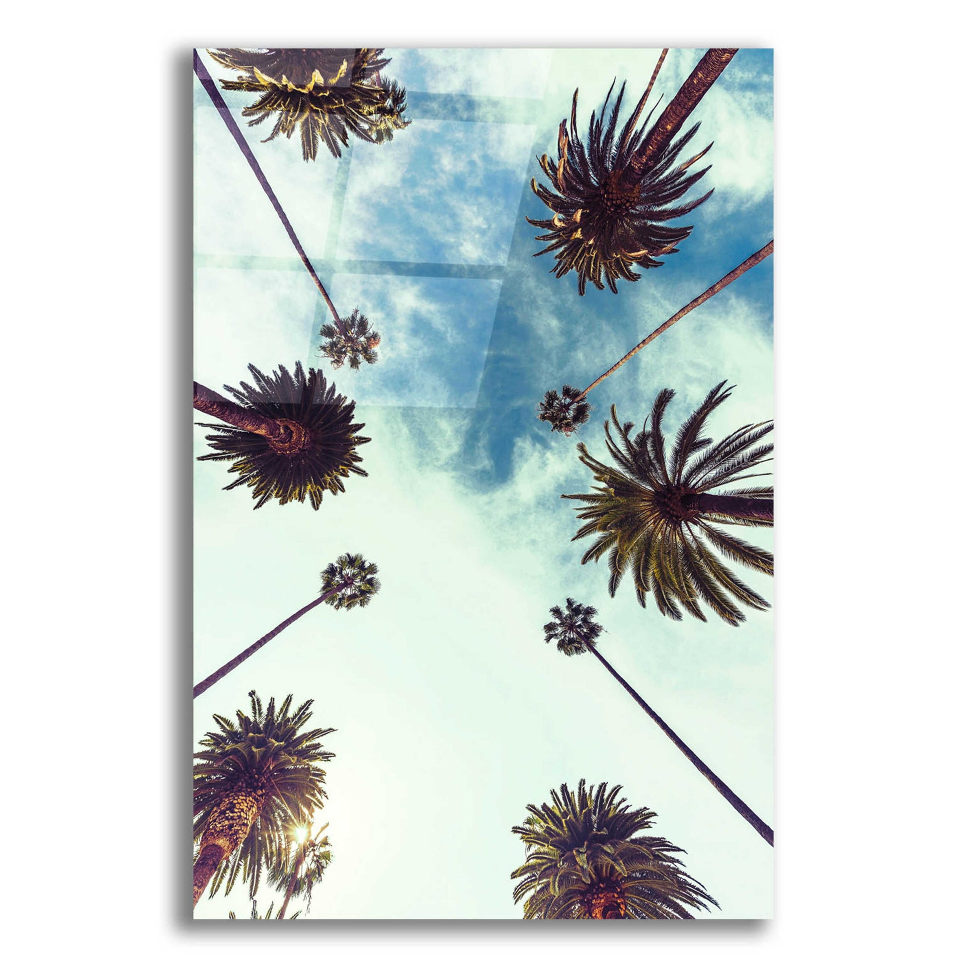 Epic Art 'Palm Sky 2' by Design Fabrikken, Acrylic Glass Wall Art,12x16