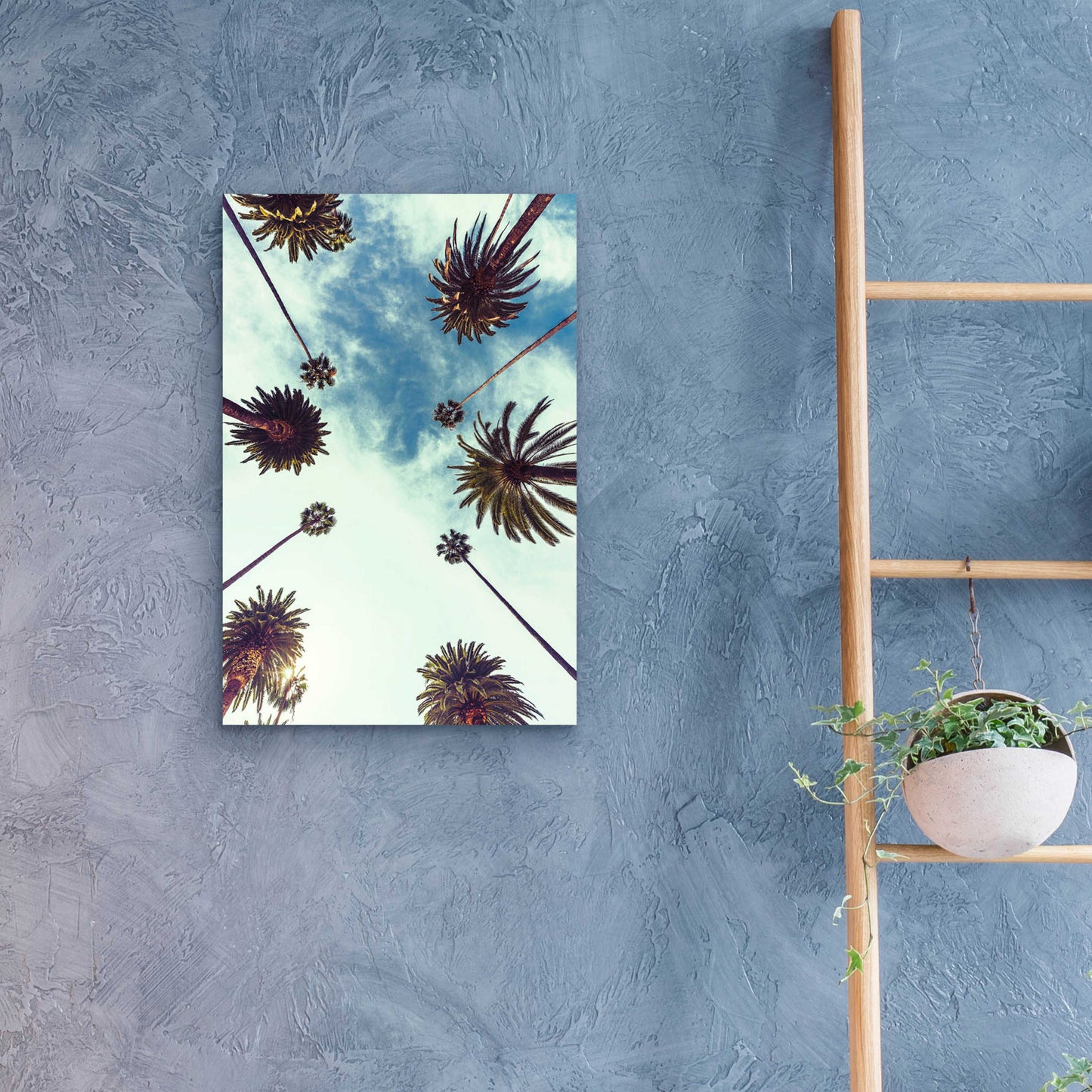 Epic Art 'Palm Sky 2' by Design Fabrikken, Acrylic Glass Wall Art,16x24