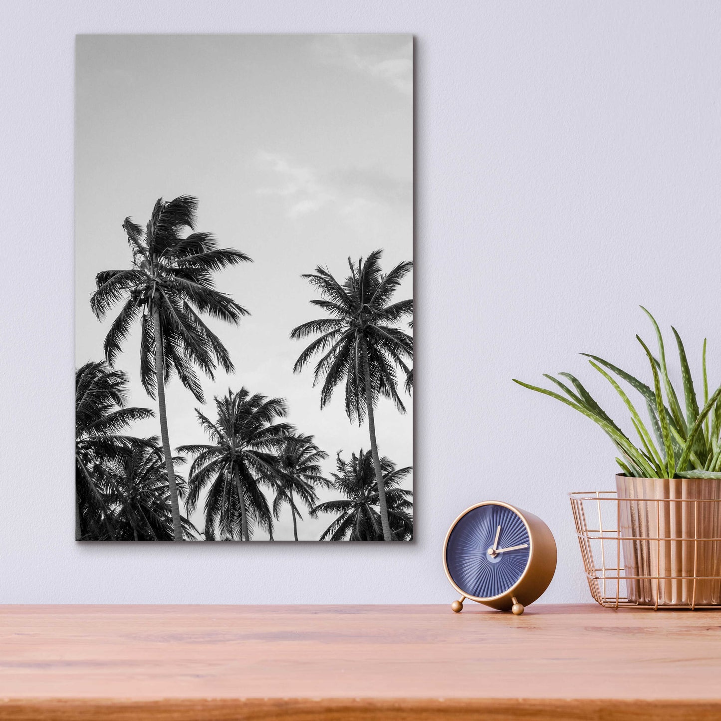 Epic Art 'Palms in Grey' by Design Fabrikken, Acrylic Glass Wall Art,12x16