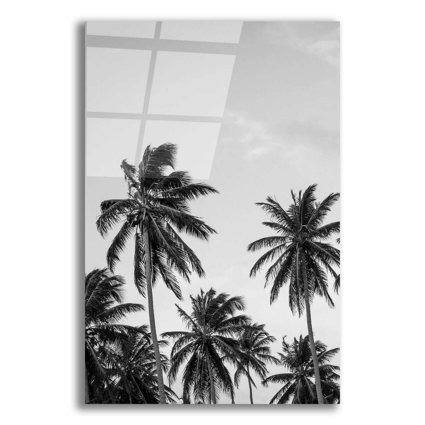 Epic Art 'Palms in Grey' by Design Fabrikken, Acrylic Glass Wall Art,12x16