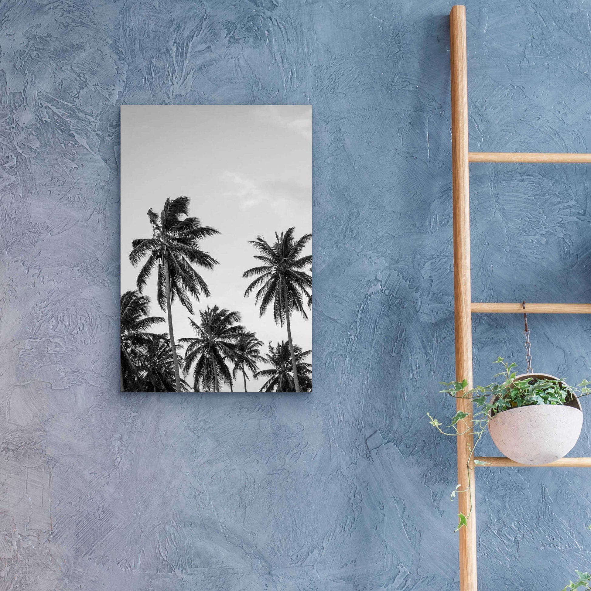 Epic Art 'Palms in Grey' by Design Fabrikken, Acrylic Glass Wall Art,16x24