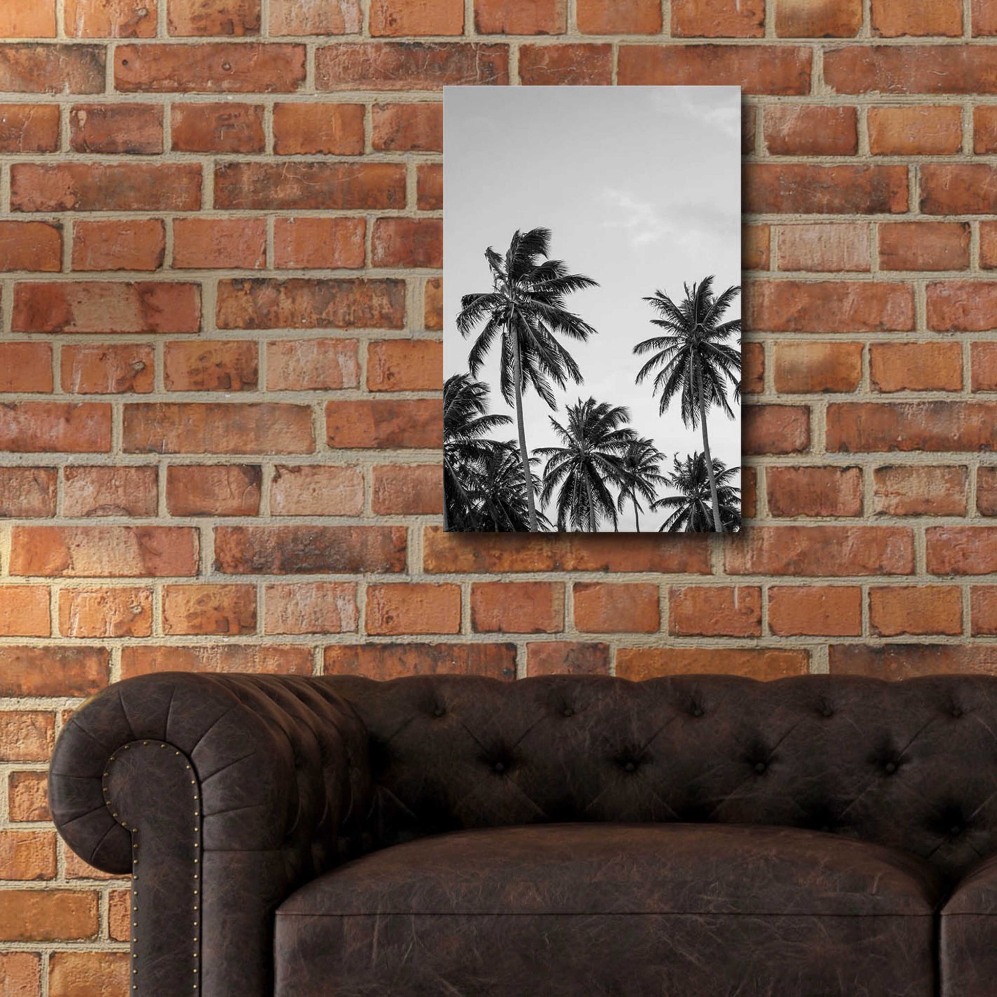 Epic Art 'Palms in Grey' by Design Fabrikken, Acrylic Glass Wall Art,16x24